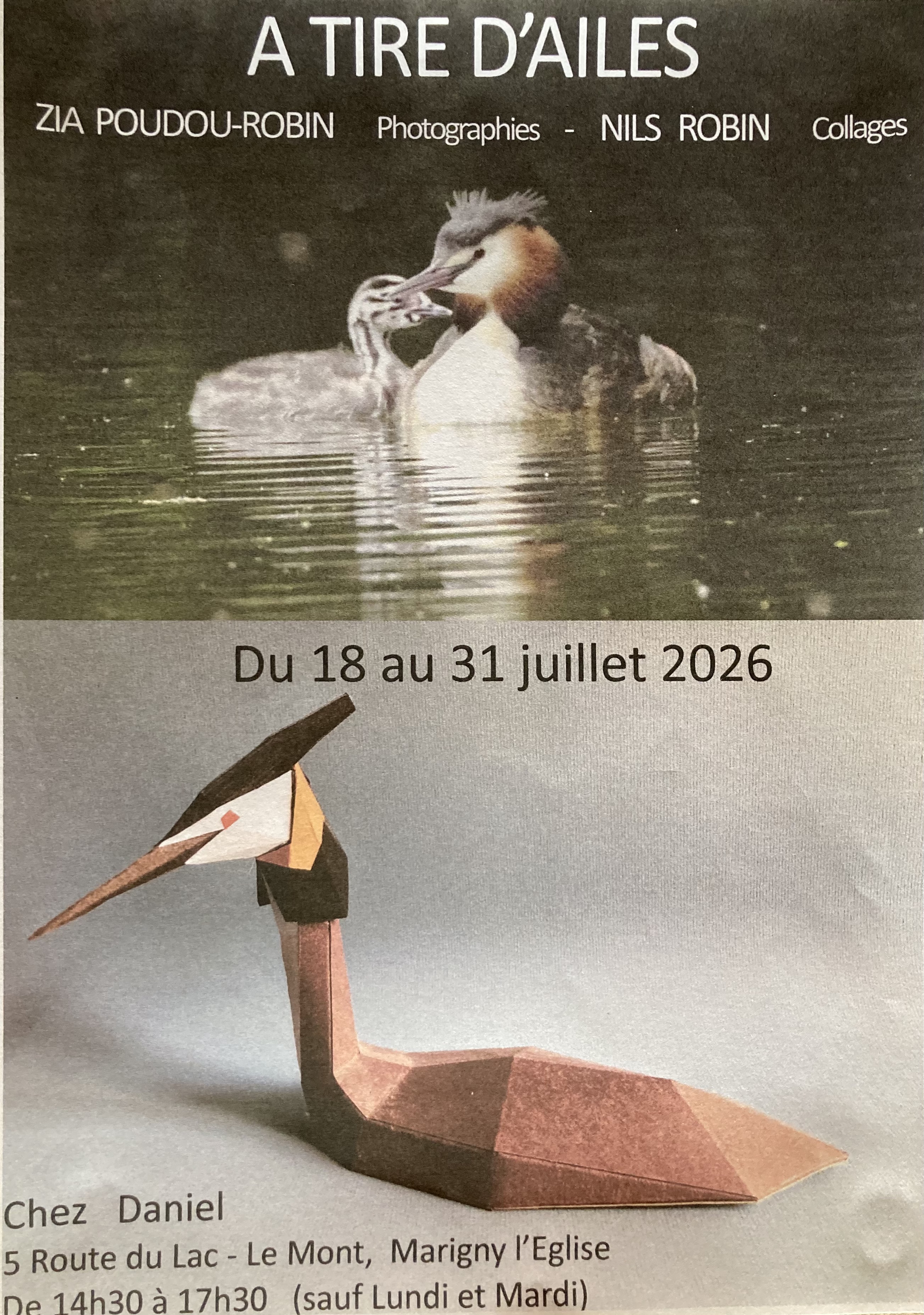 Exposition "A Tire d'Ailes"