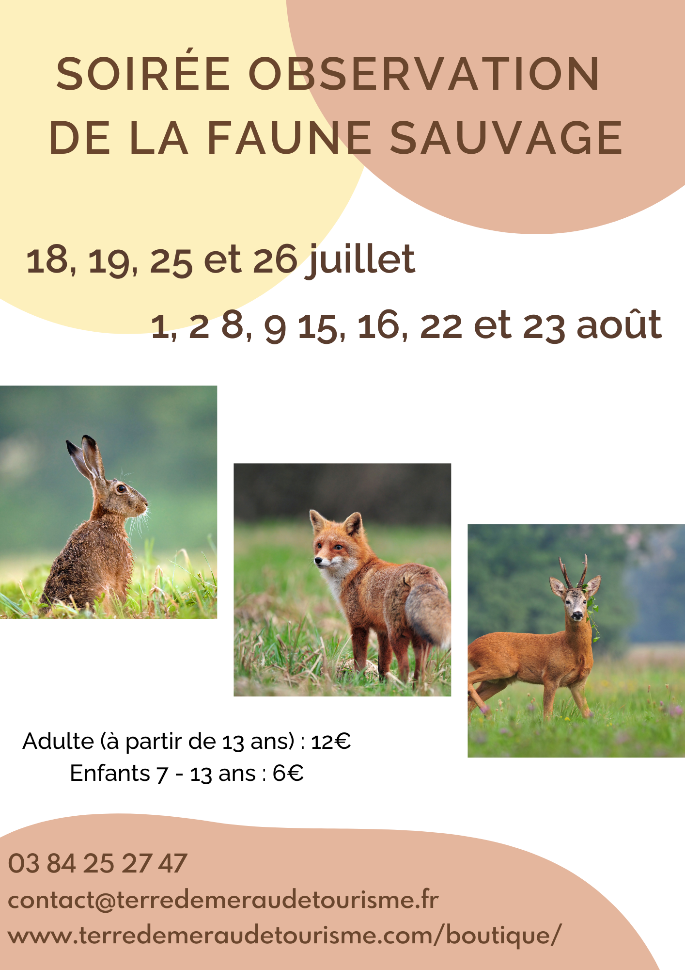 ACCUEIL  - AFFICHES ANIMATIONS - 2