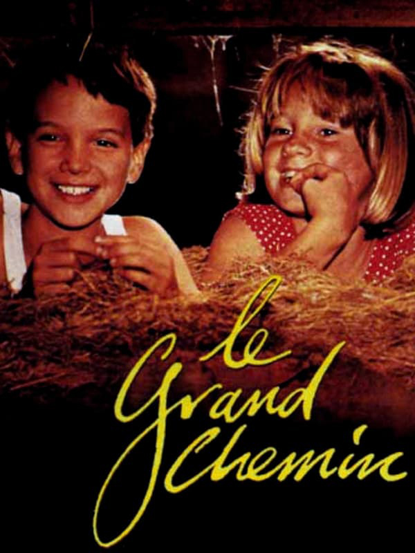 Séance de cinéma en plein air