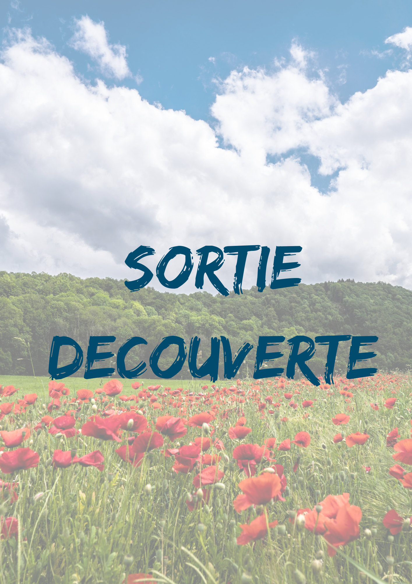 AFFICHES POUR DD