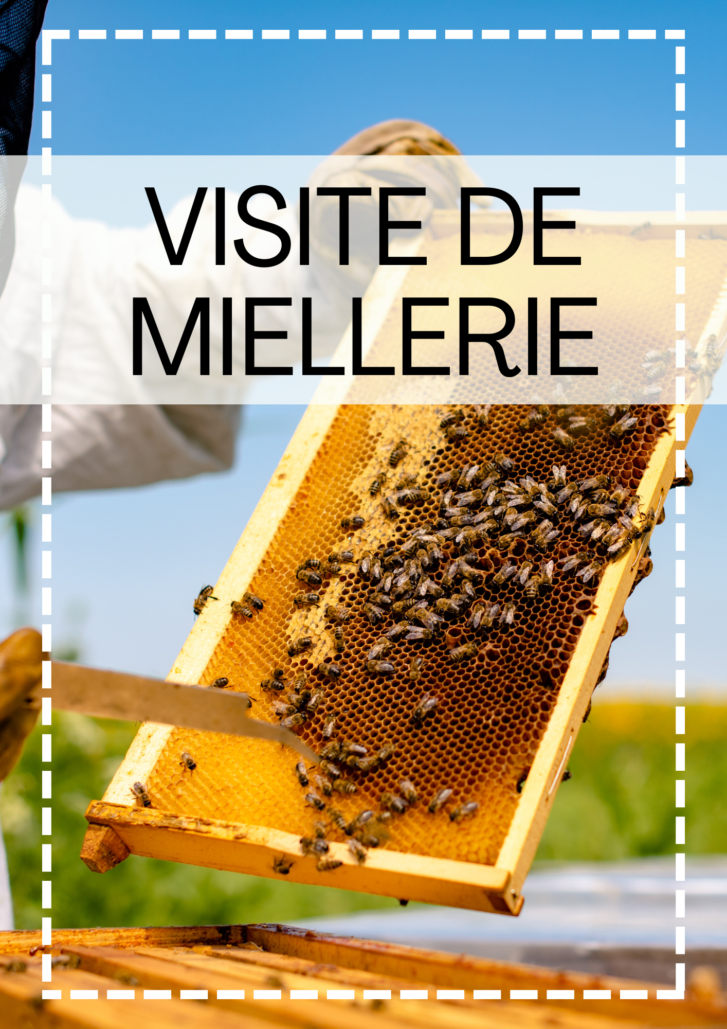 AFFICHES POUR DD - 2