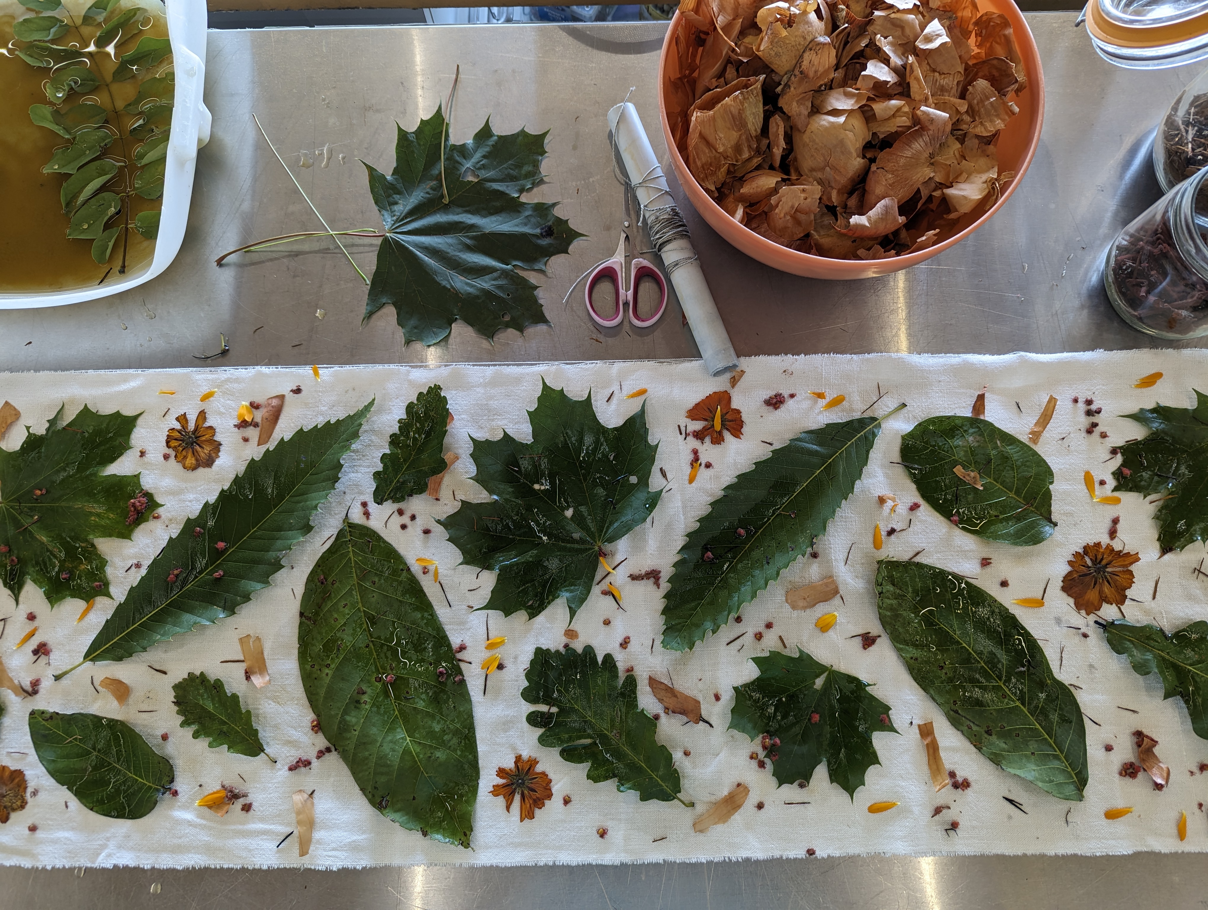 Ecoprint et Tataki-zomé - impressions de plantes sur tissu