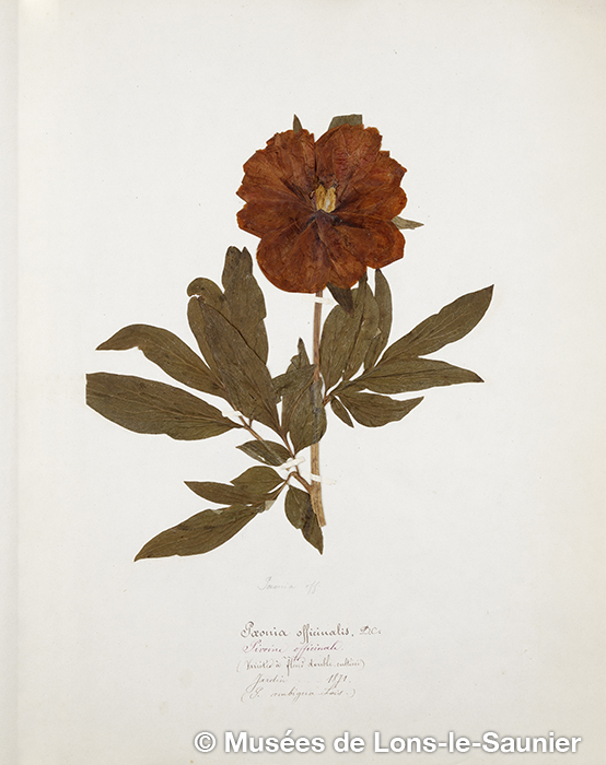 ATELIER HERBIER