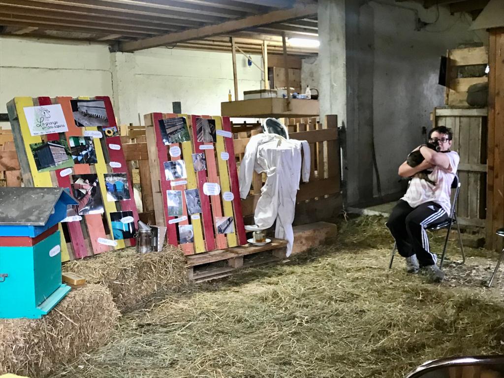 Viiste animée