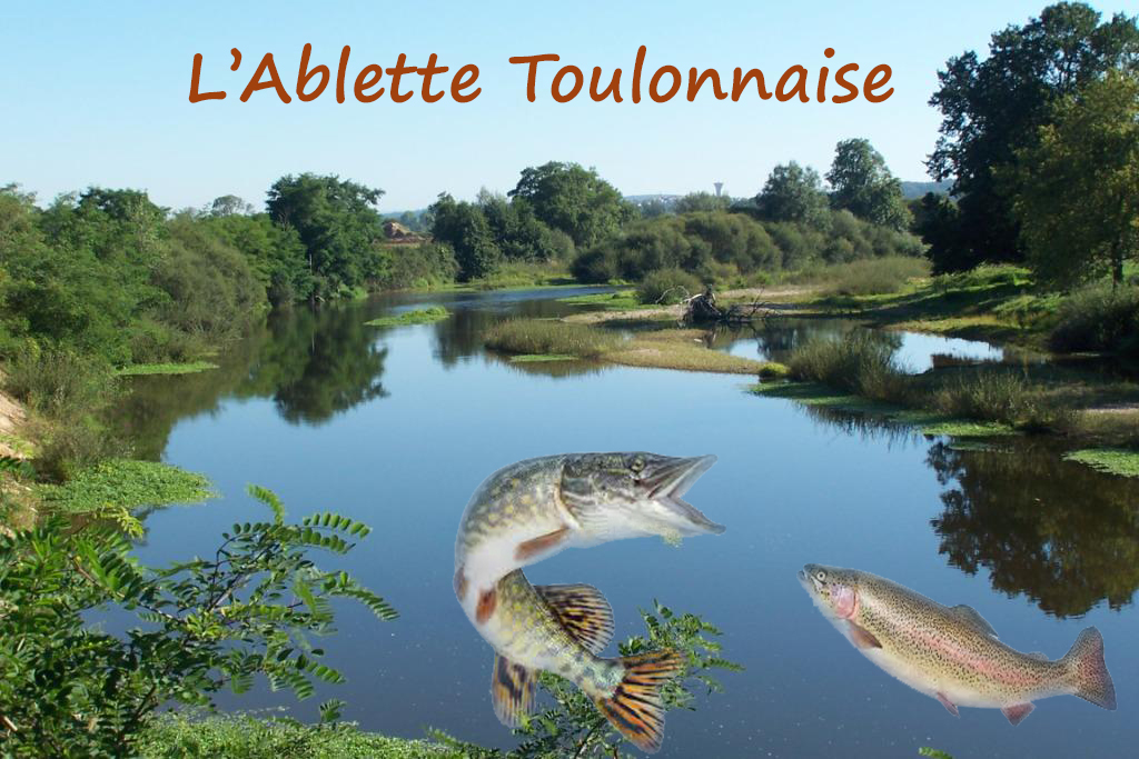 Vente Cartes de Pêche 2024