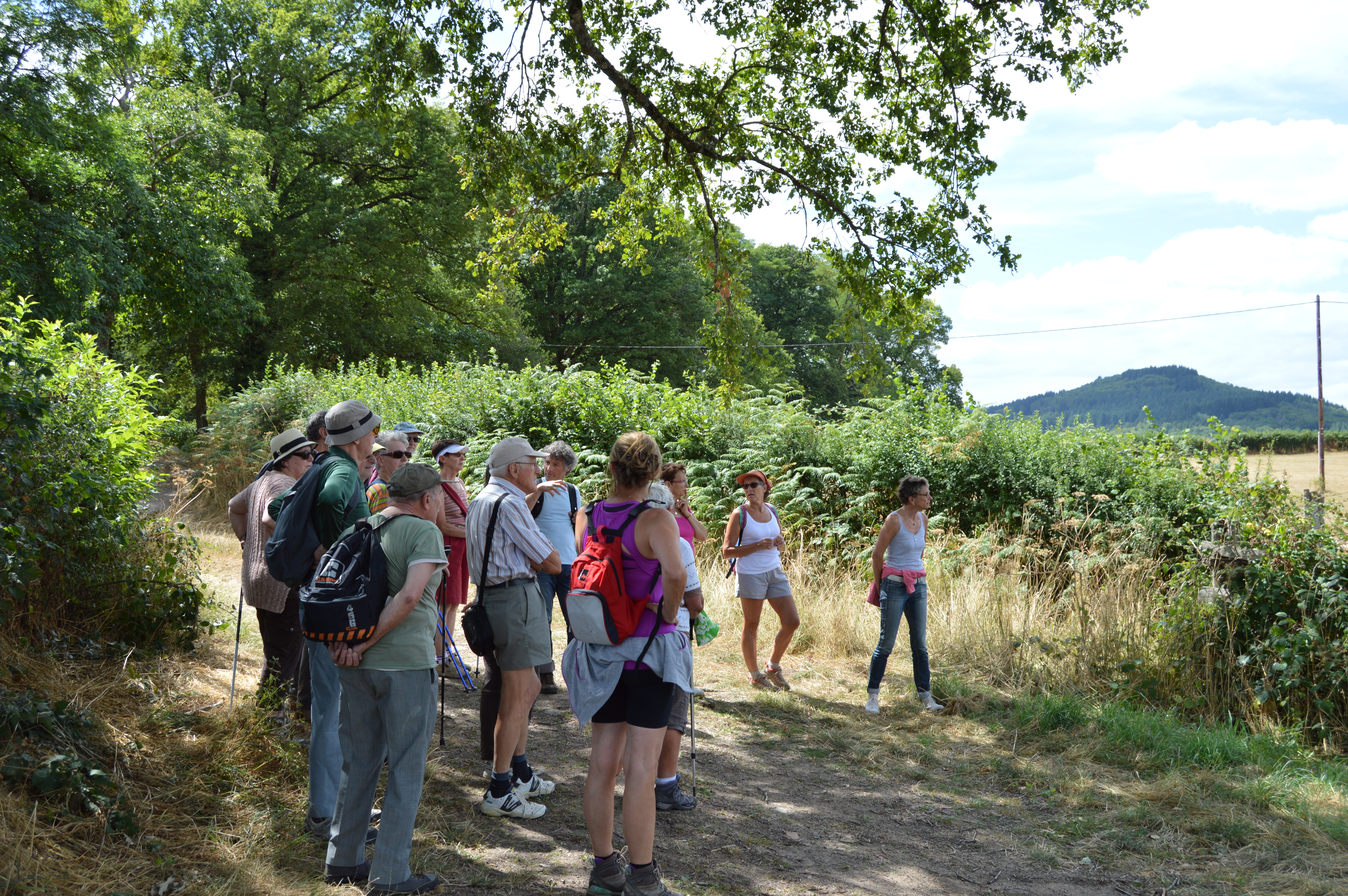 Activité de Loisirs-Randonnée Balade d'été groupe 5-Laizy