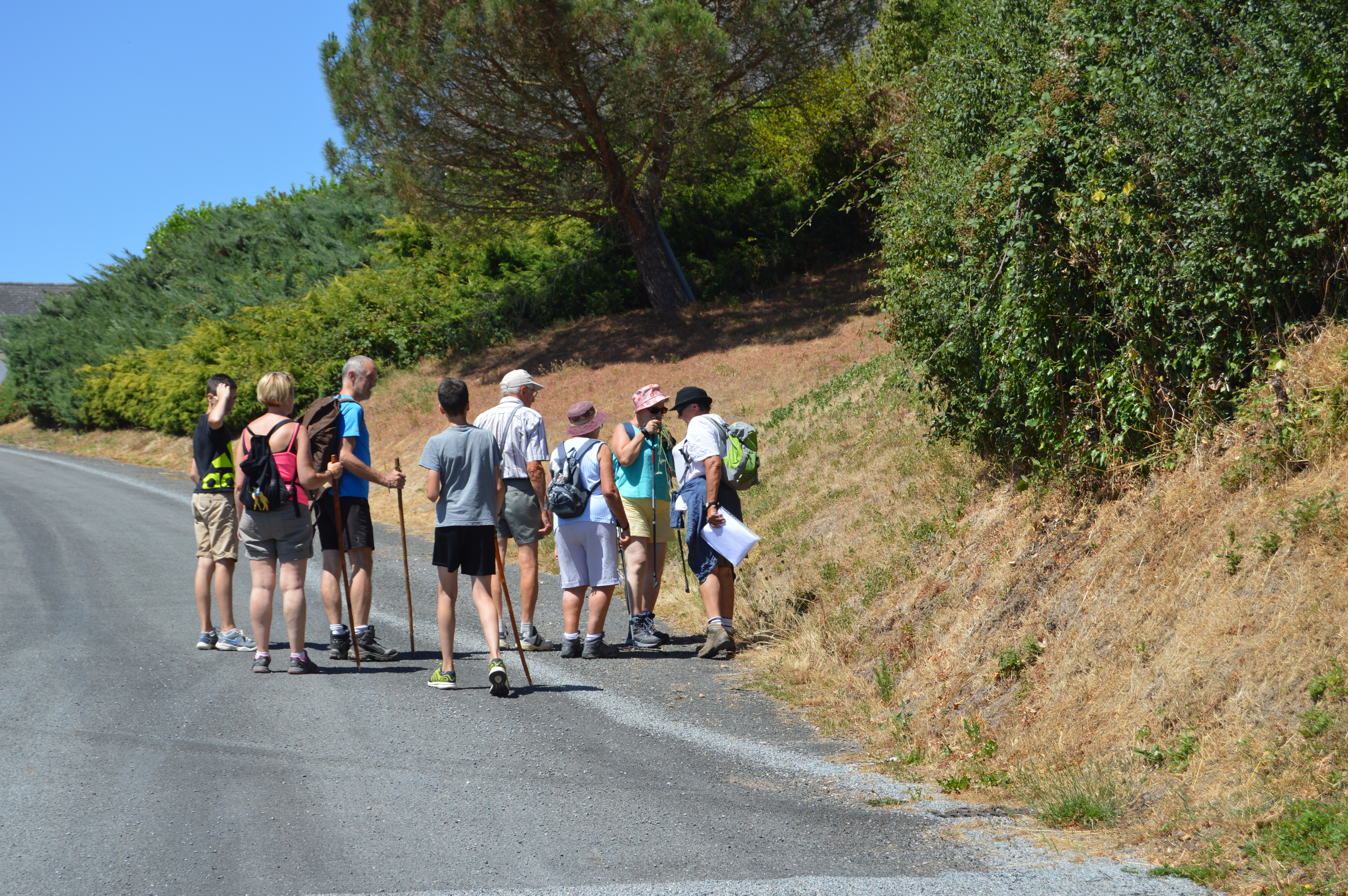 Activité de Loisirs-Randonnée Balade d'été groupe 5-Saint Eugène