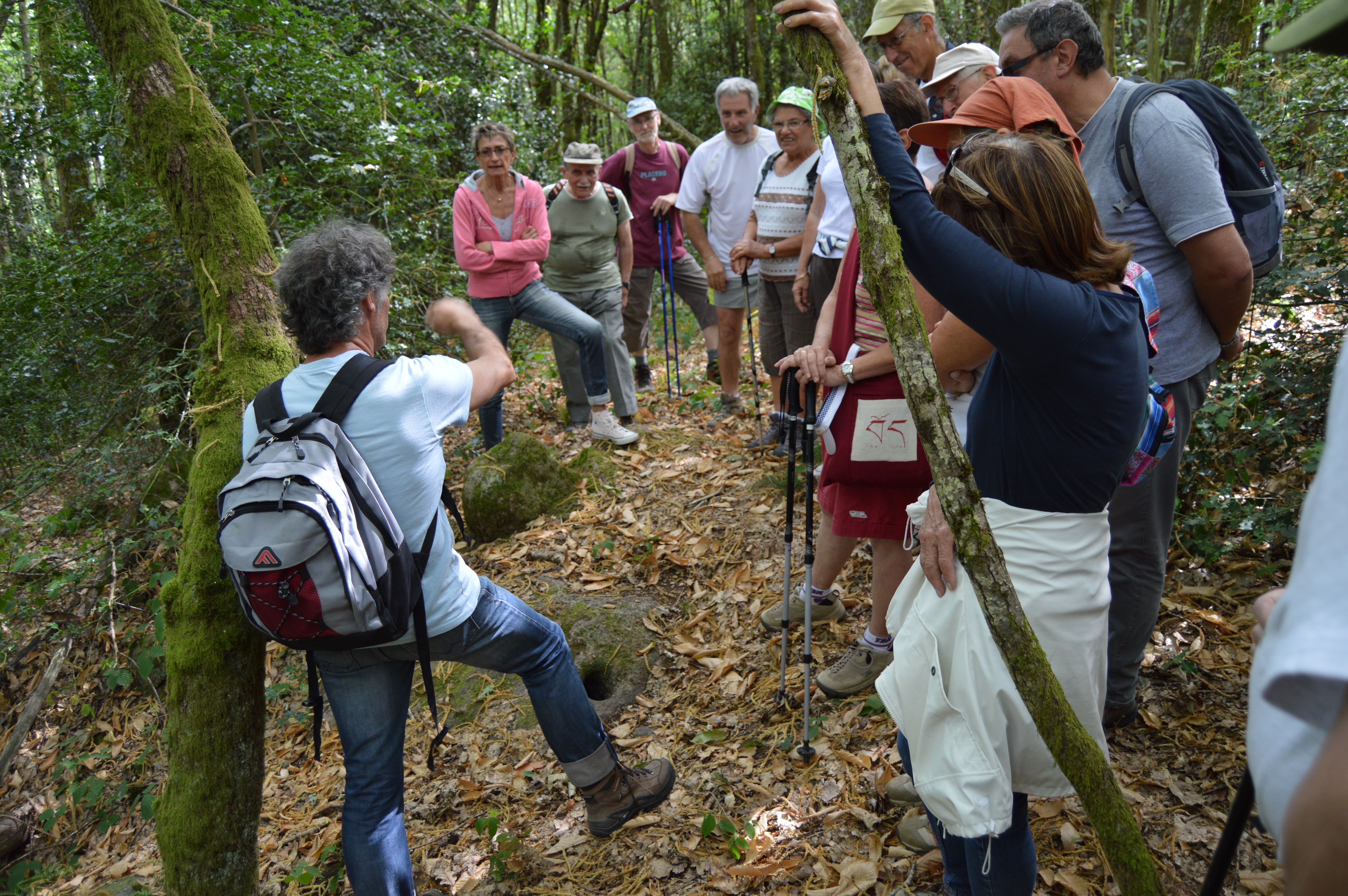 Activité de Loisirs-Randonnée Balade d'été pierre Saint Julien 2-Laizy