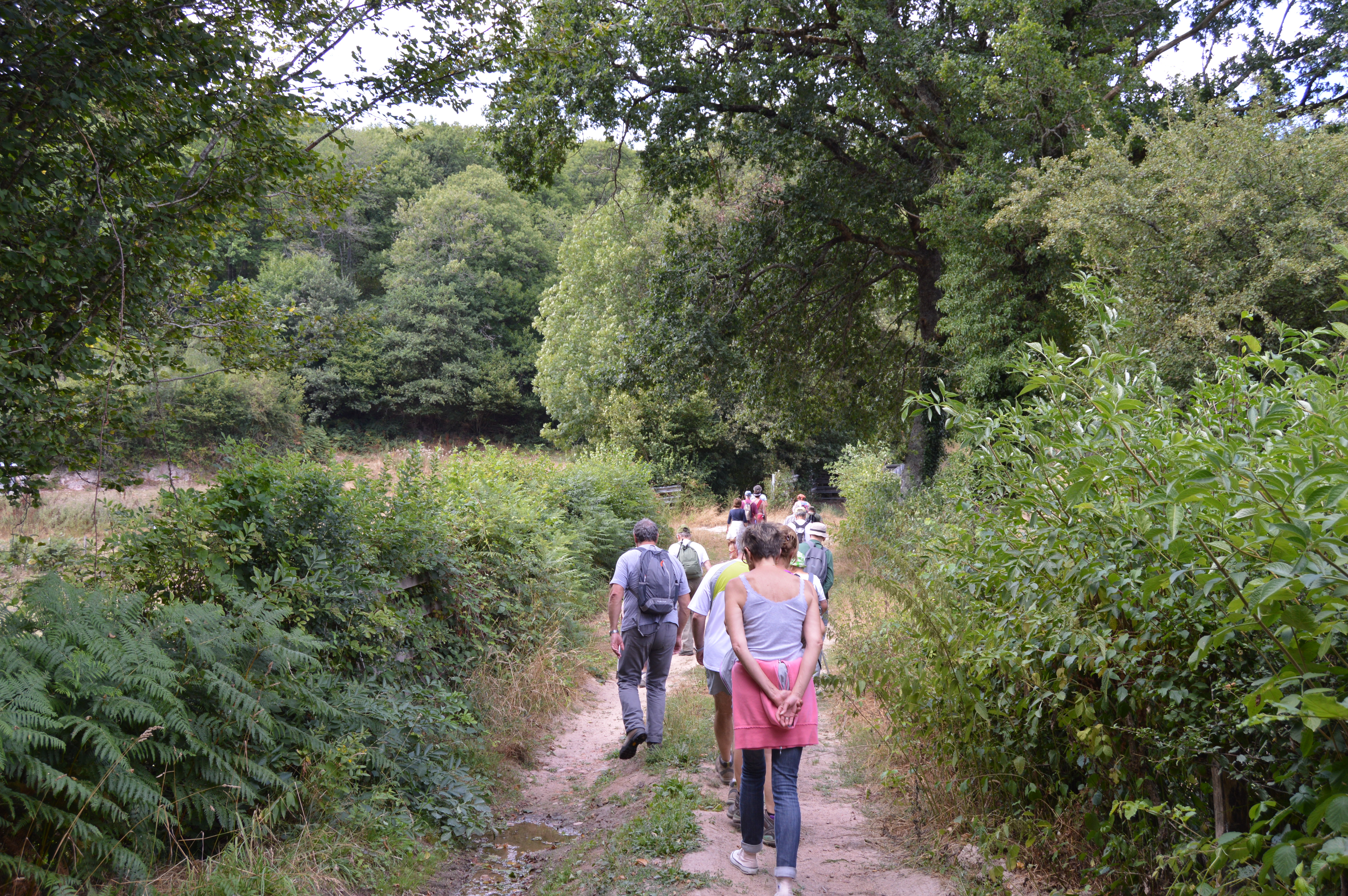 Activité de Loisirs-Randonnée Balade d'été randonneurs 2-Laizy