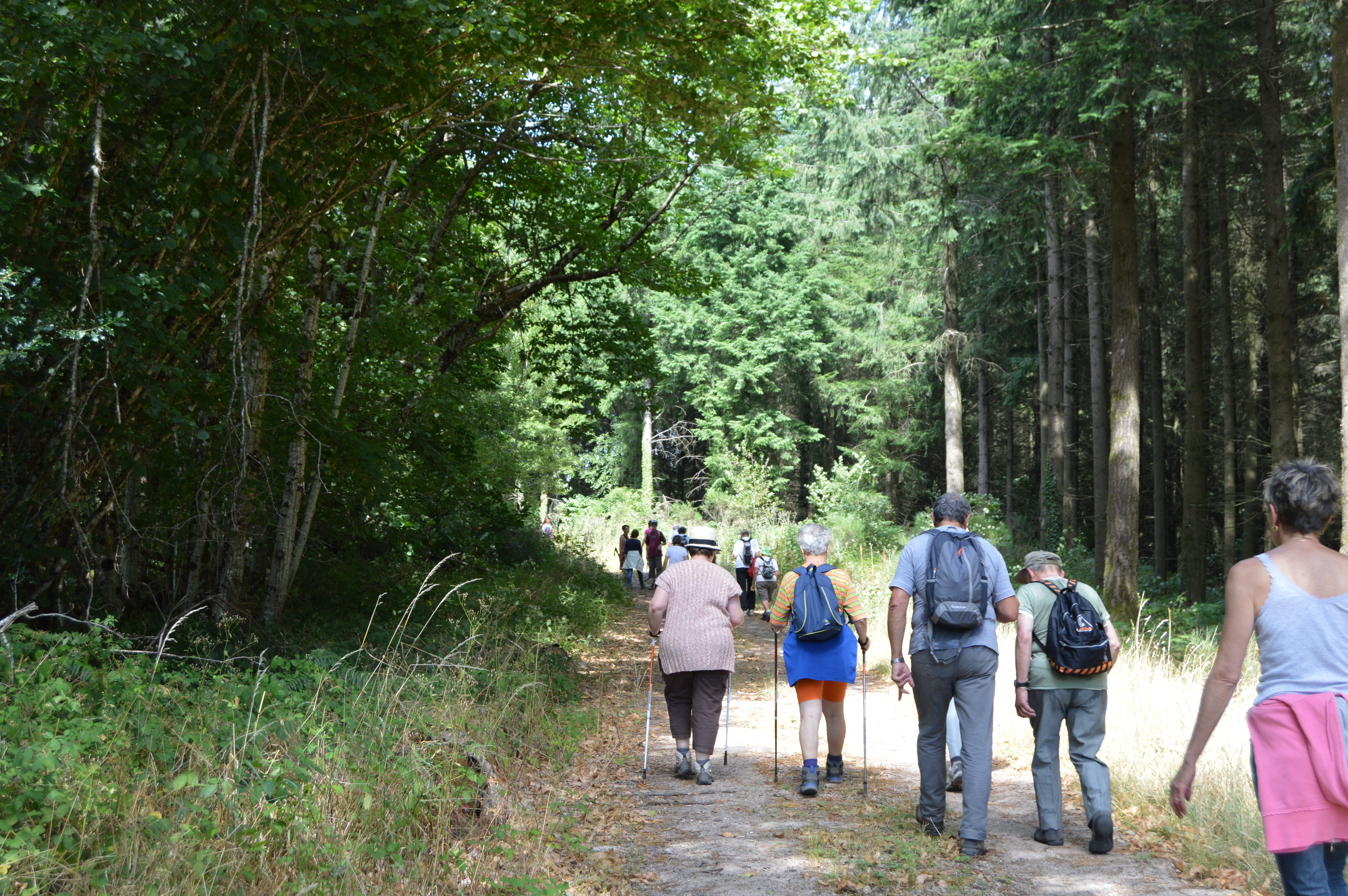Activité de Loisirs-Randonnée Balade d'été randonneurs 5-Laizy