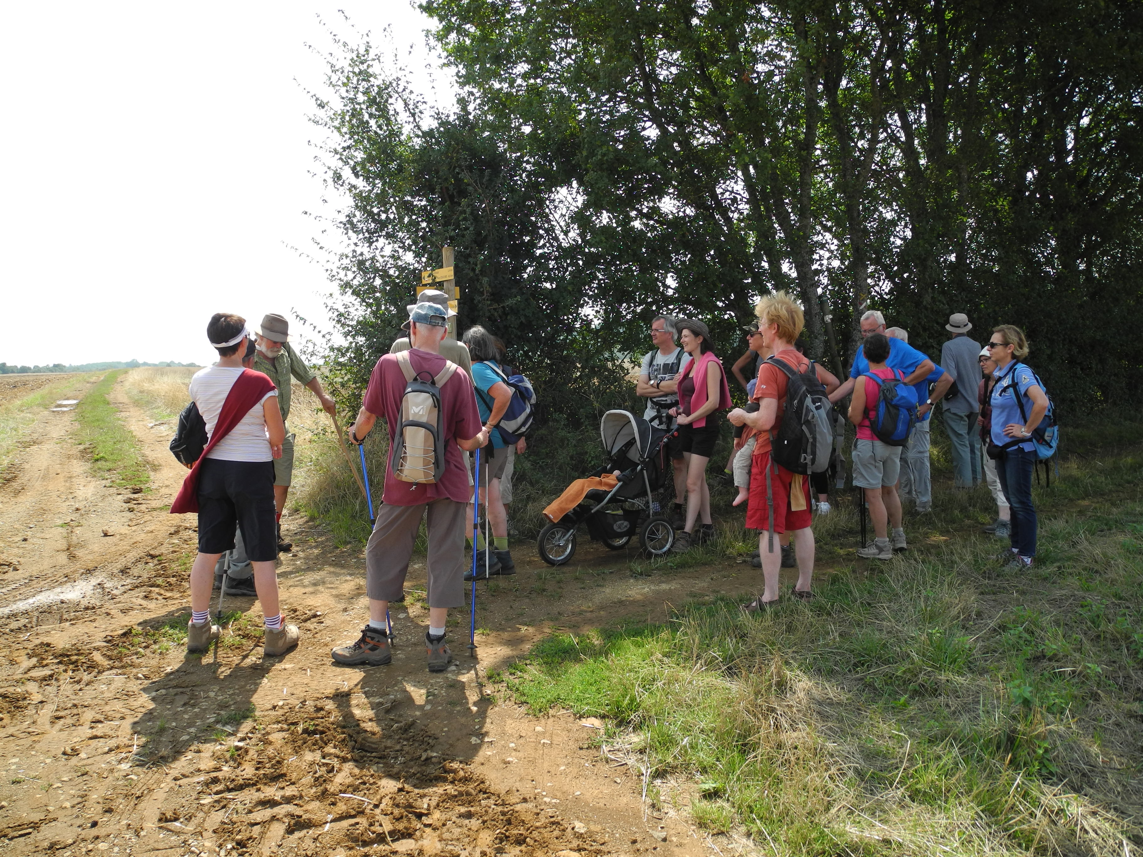 Activités de loisirs-Balade-été-accompagnée-randonnée-Saint-Gervais-Sur-Couches