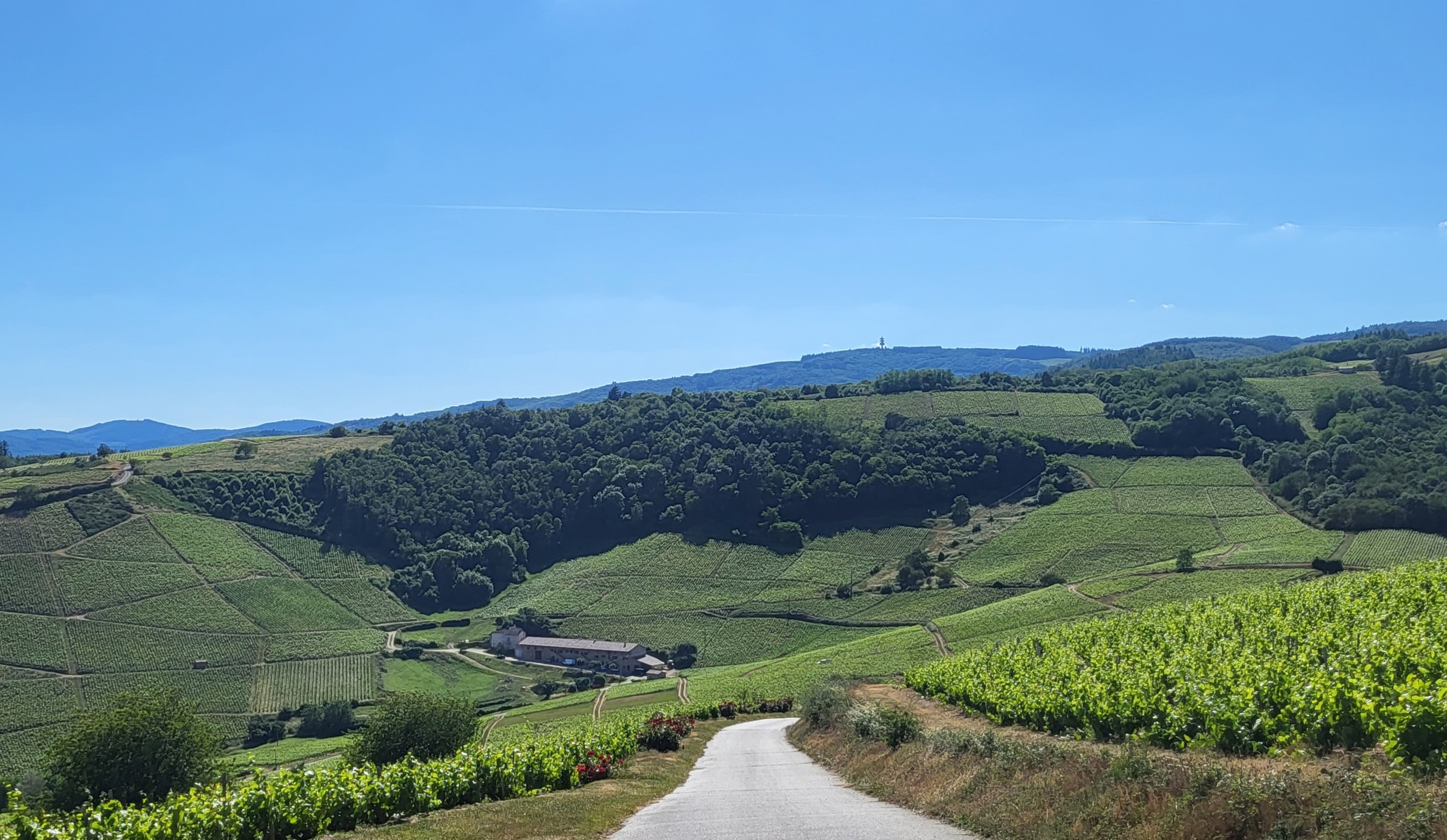 Immersion totale en Bourgogne du Sud