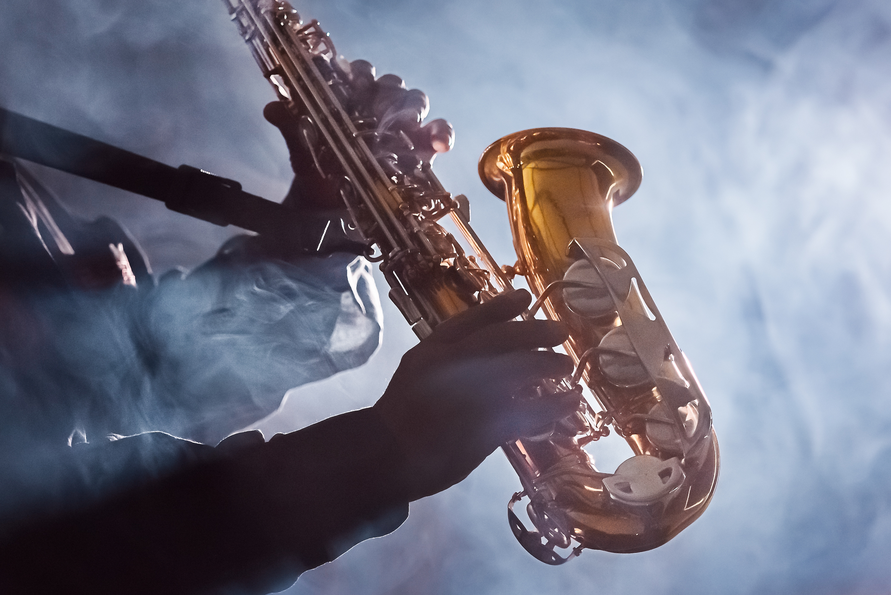 African American Jazz Musician Blues Club Preformer 