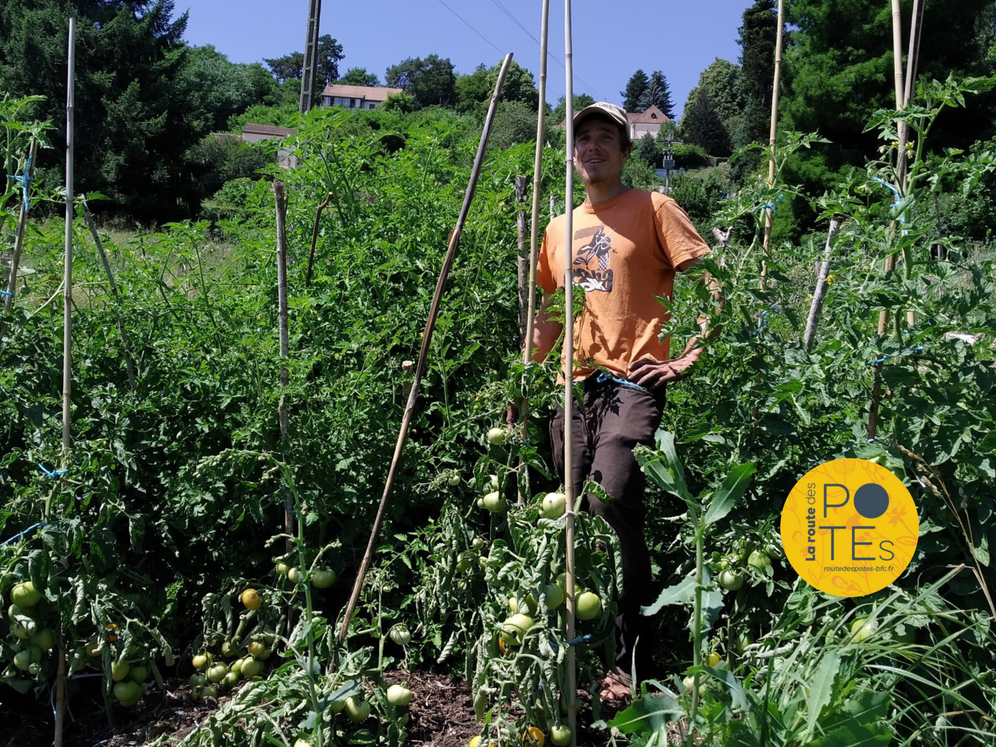 Adrien au milieu des plantations