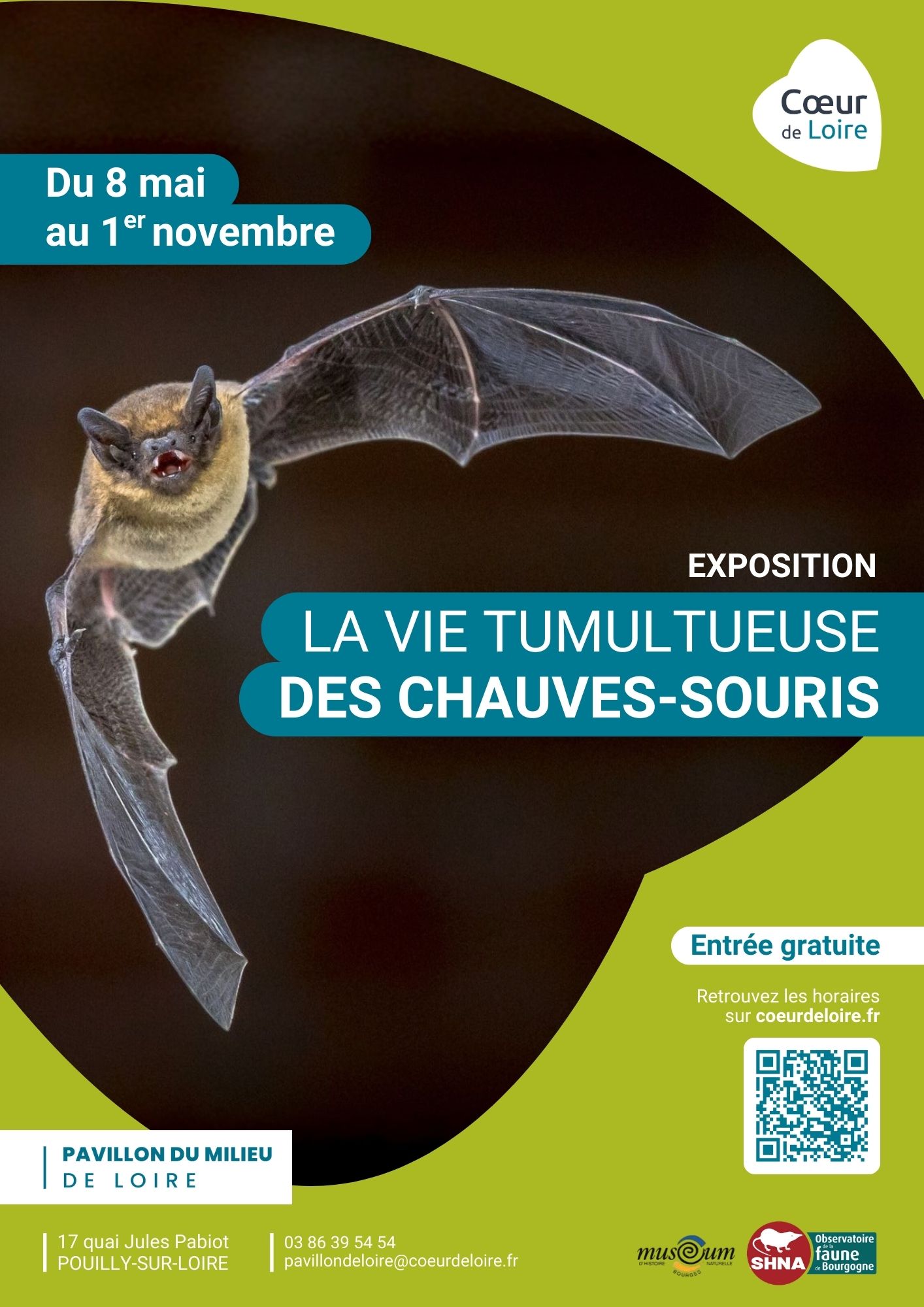 Exposition "La vie tumultueuse des chauves-souris"
