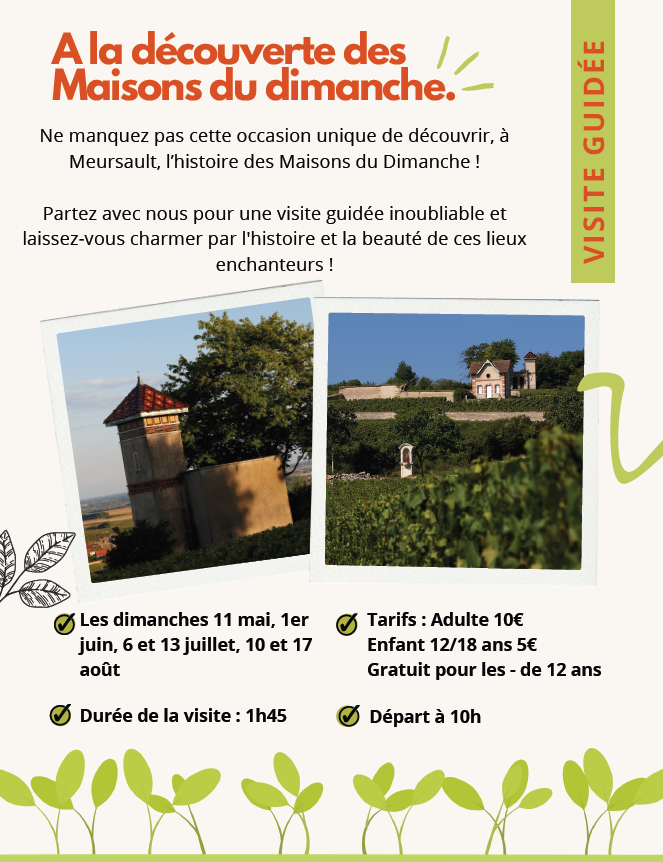 Affiche 2025 les maisons du dimanche