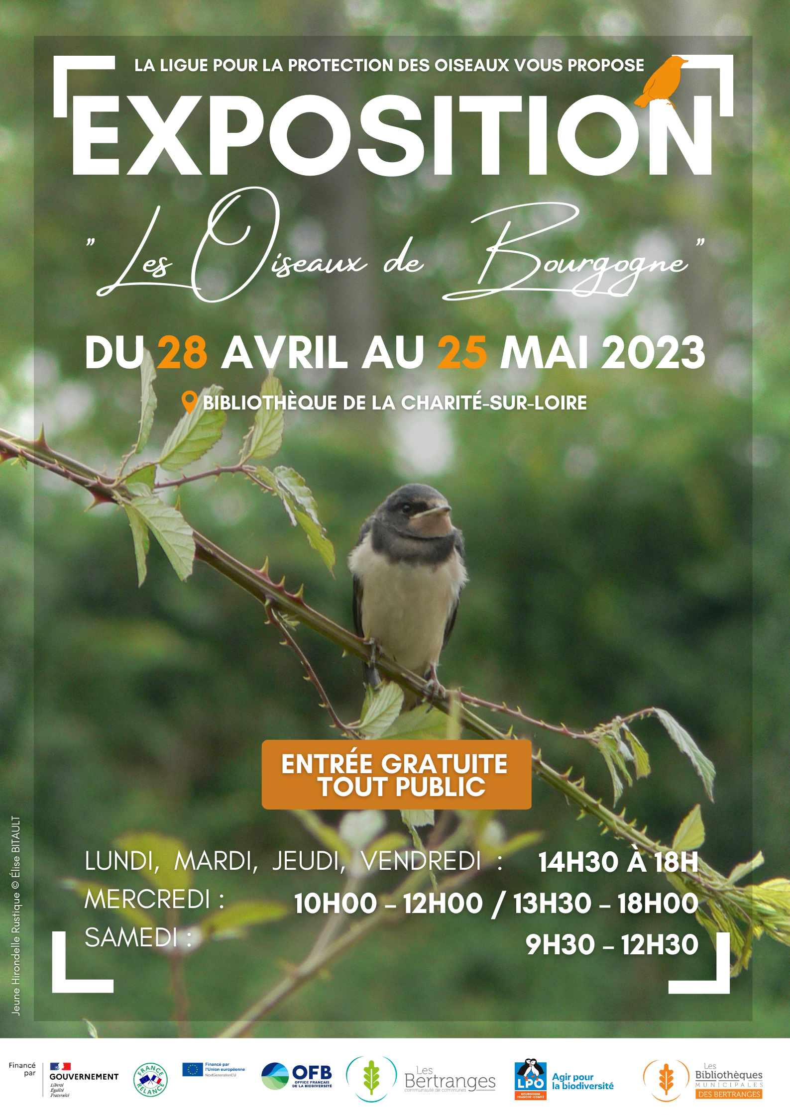 Affiche A3 Animation - 9