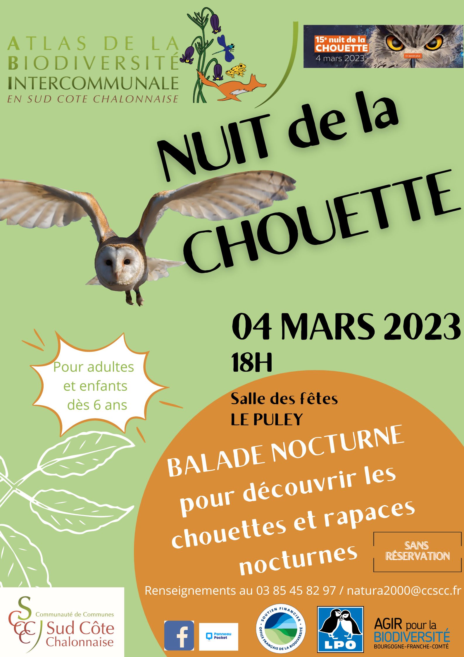 Nuit de la chouette