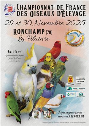 Championnat d'oiseaux d'élevage à La Filature de Ronchamp