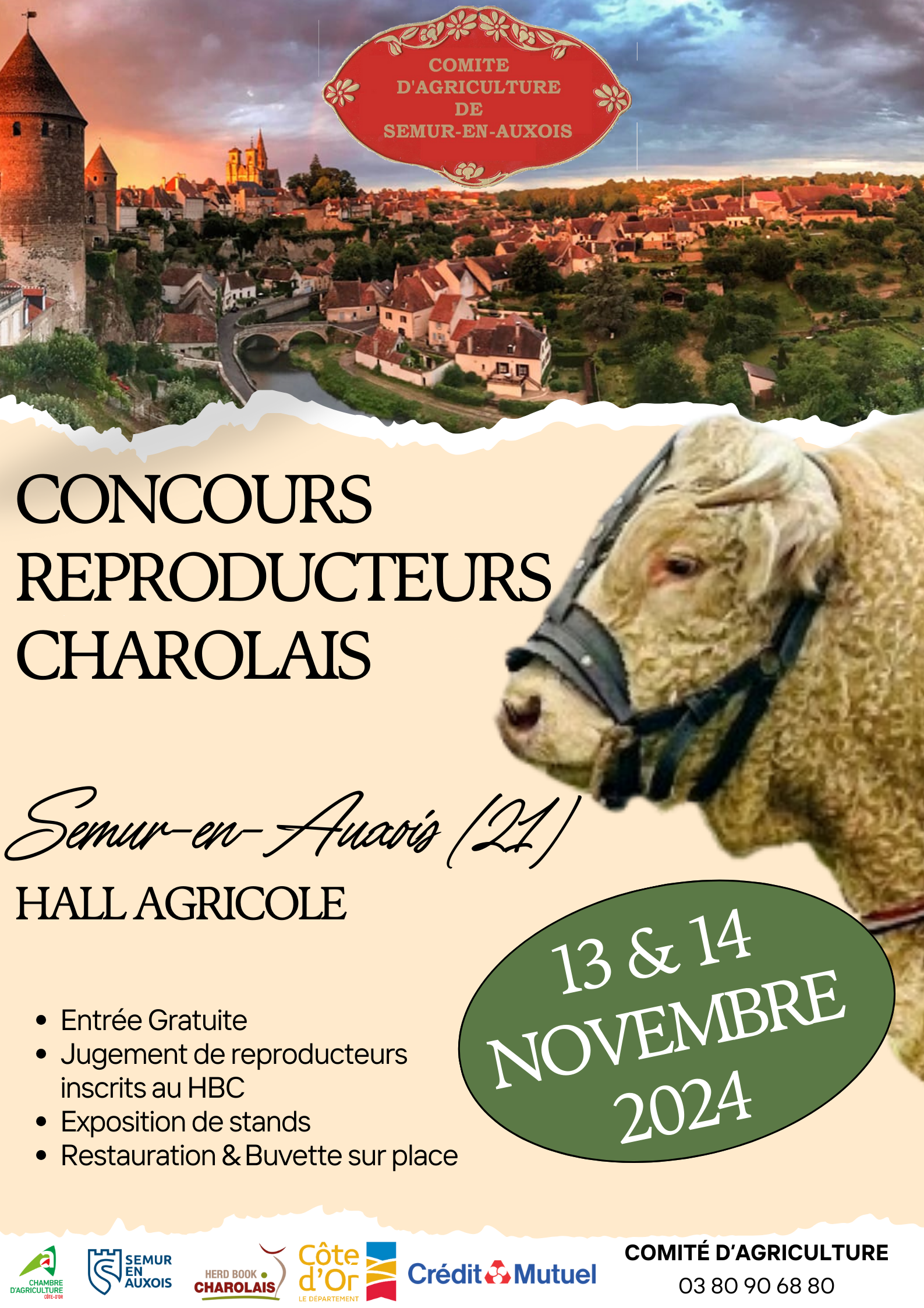 Affiche Concours Charolais