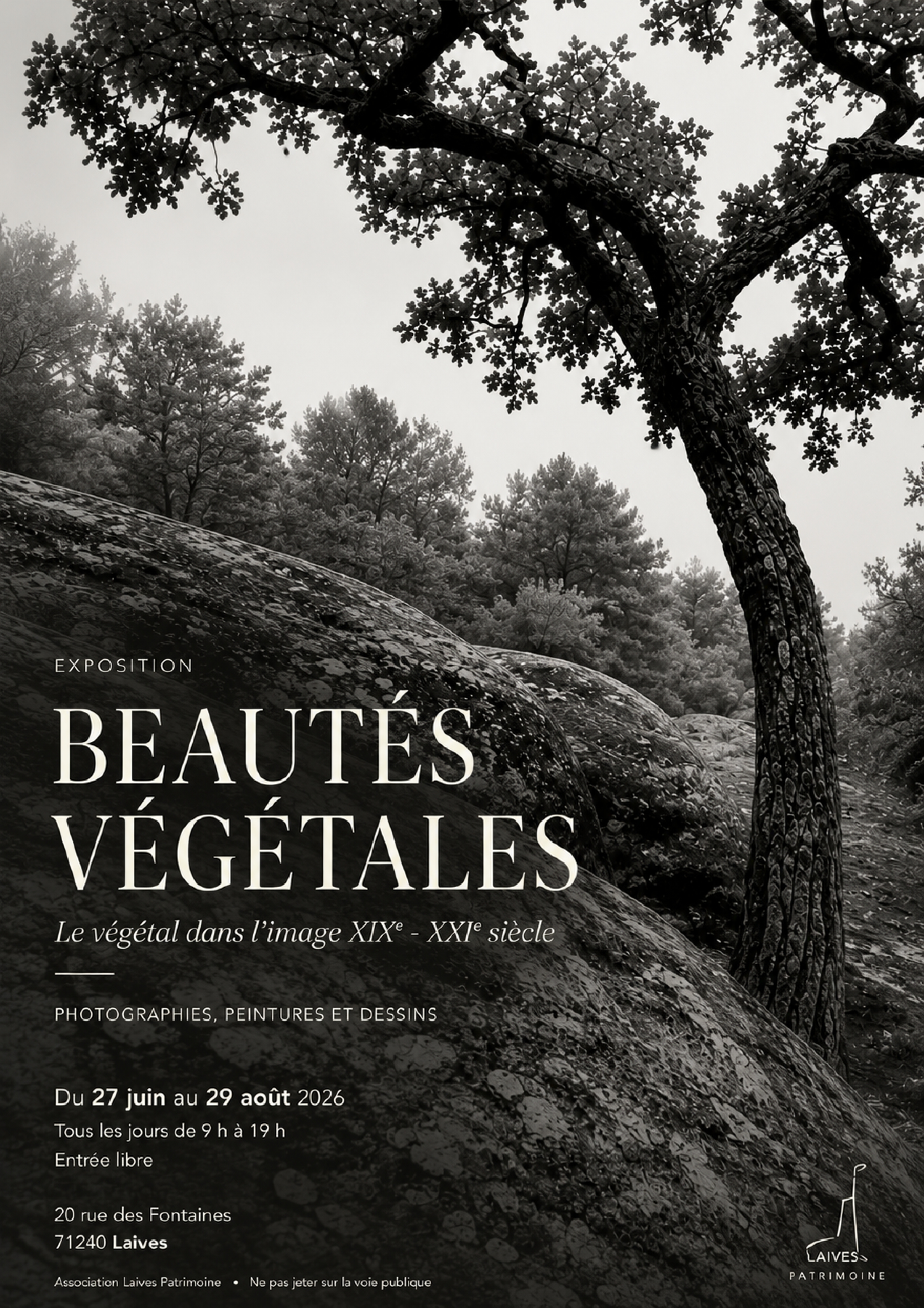 Exposition Beautés végétales