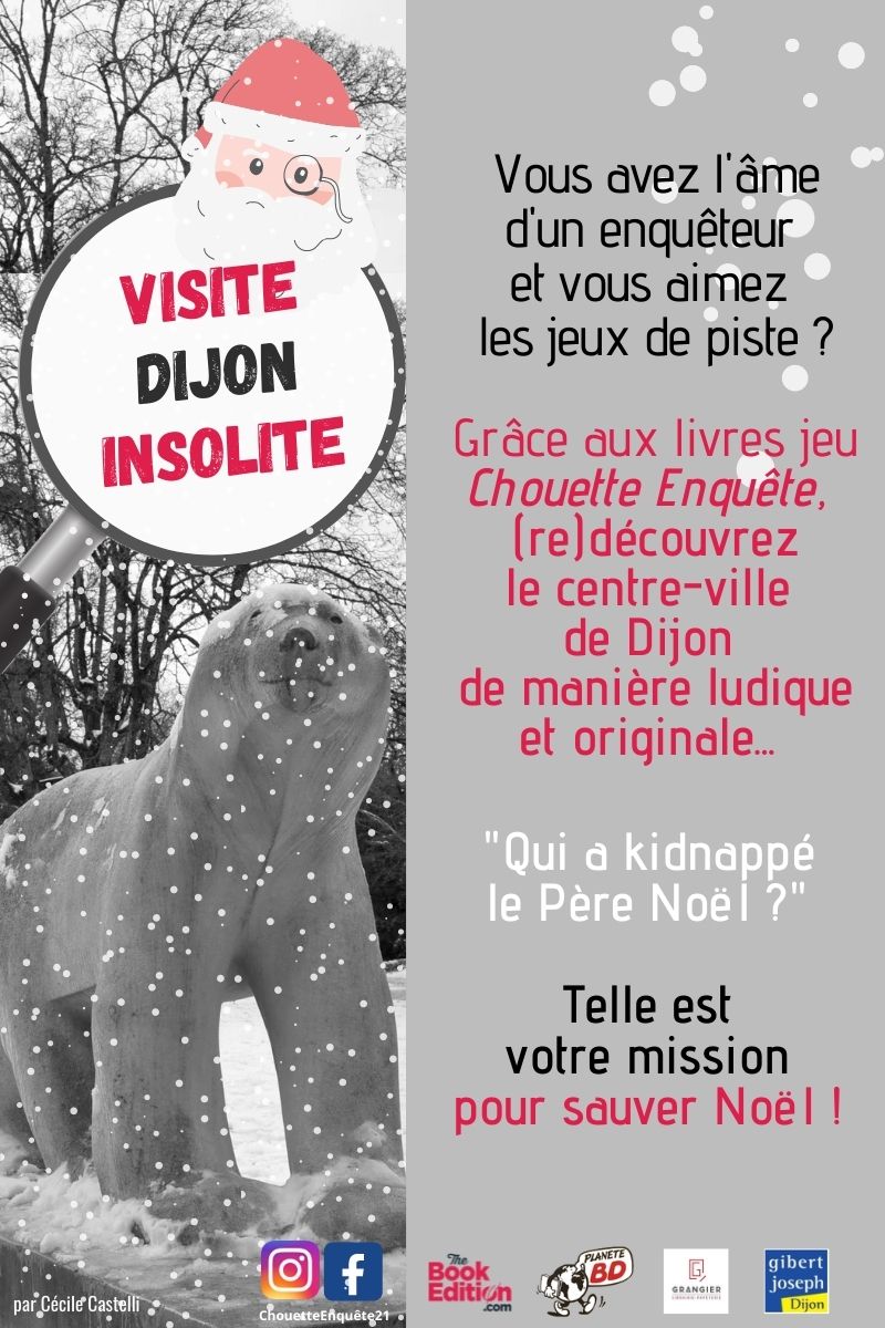 Affiche Chouettes