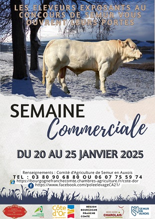 Affiche SC Comité Semur 2025