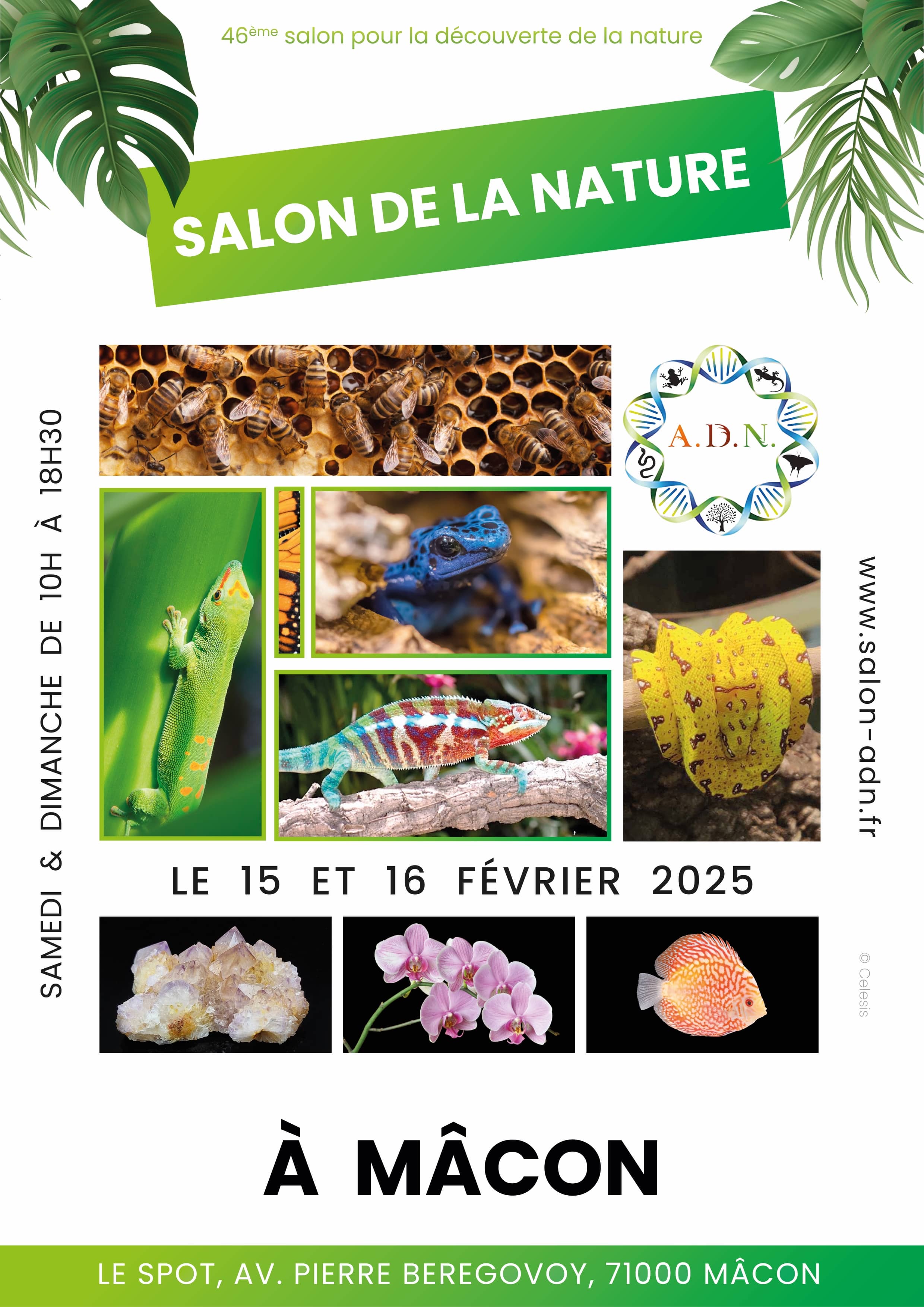 Affiche Salon de la Nature type A1 - Association ADN