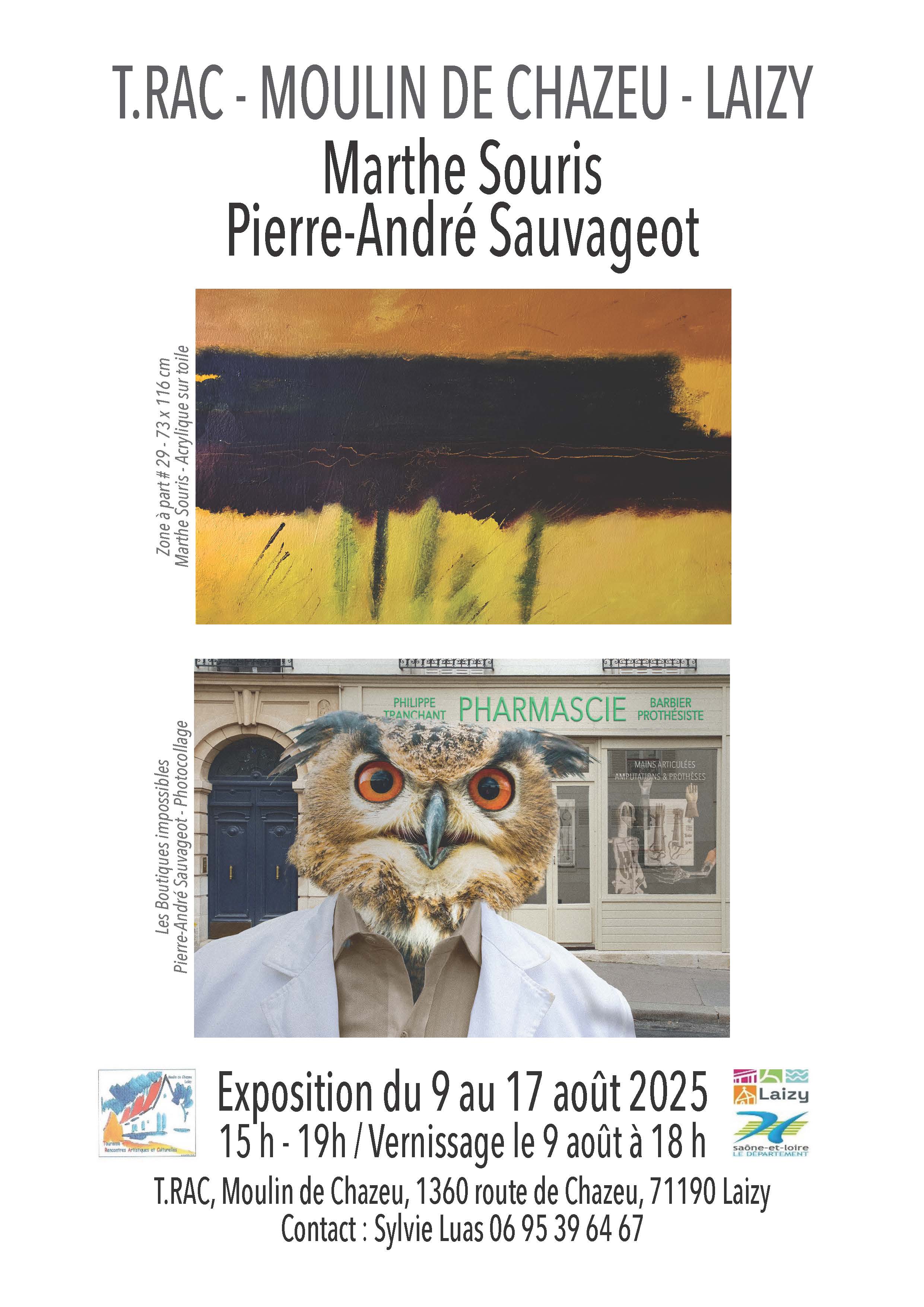 Affiche_Souris_Sauvageot_B