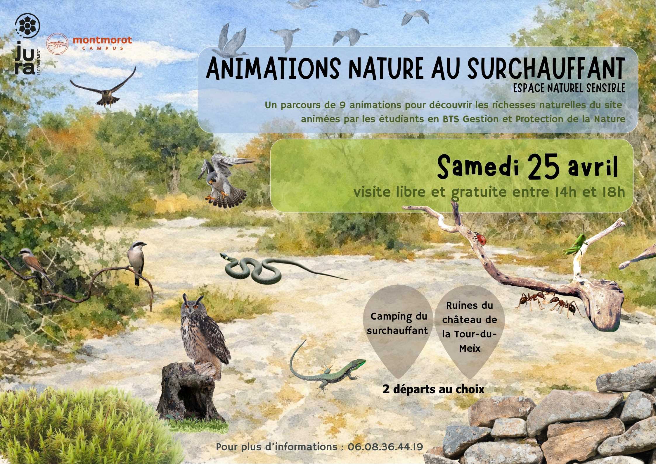 Animations nature au Surchauffant