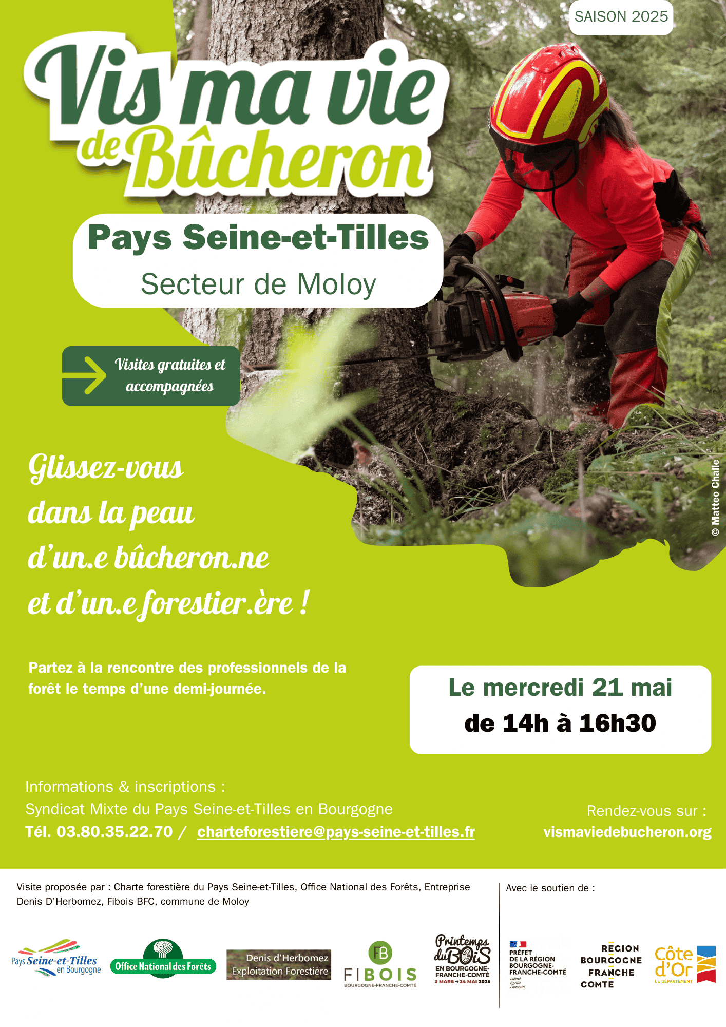 Vis ma vie de bûcheron Seine et tilles 2025