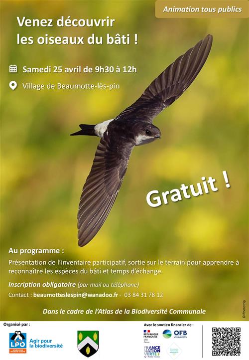 A la d&eacute;couverte des oiseaux du b&acirc;ti