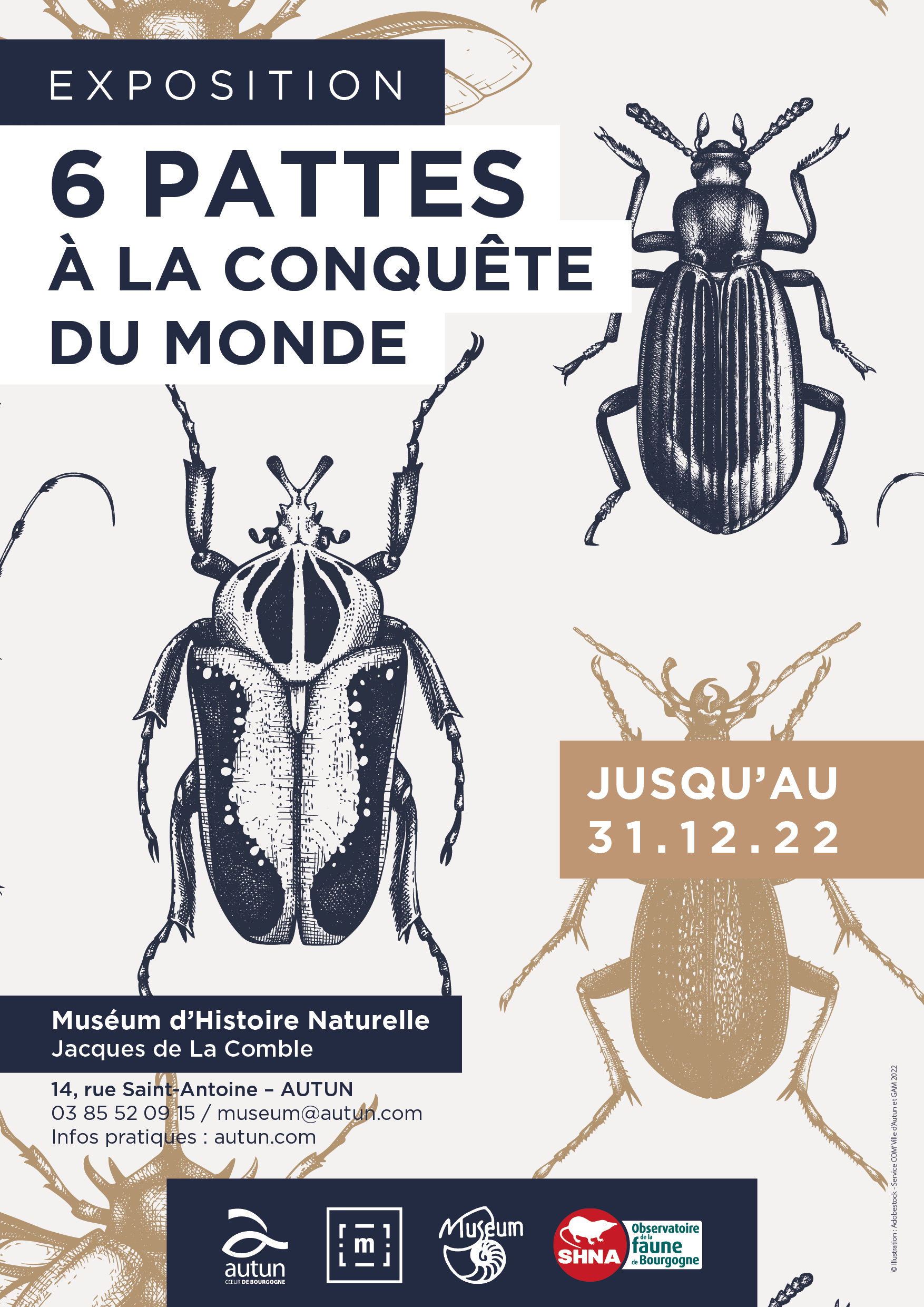 Affiche expo insectes 2022-2 - Crédits : Ville d'Autun