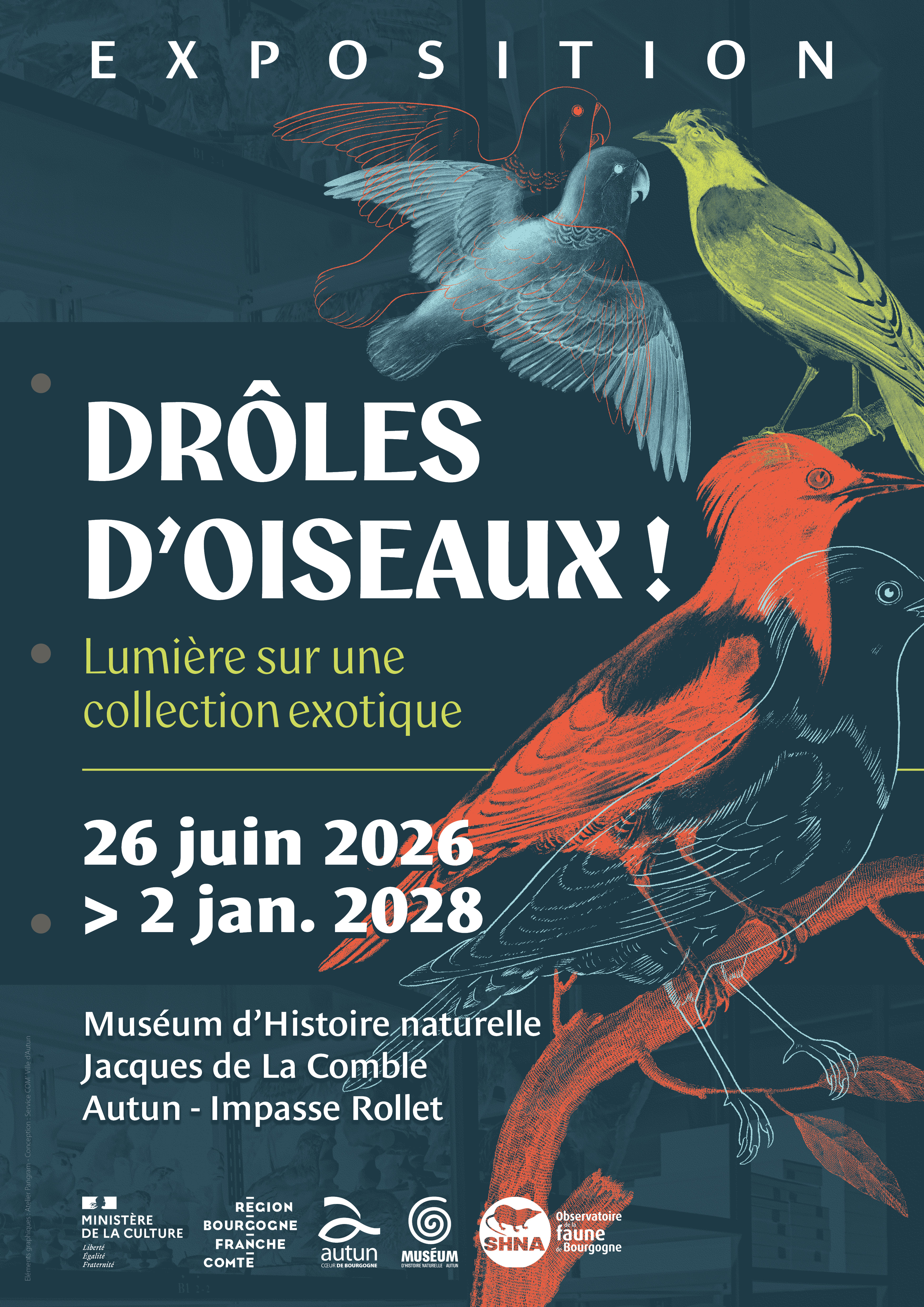 Drôles d'oiseaux : lumière sur une collection exotique ! Visite guidée de l'exposition (Journées Européennes du Patrimoine)
