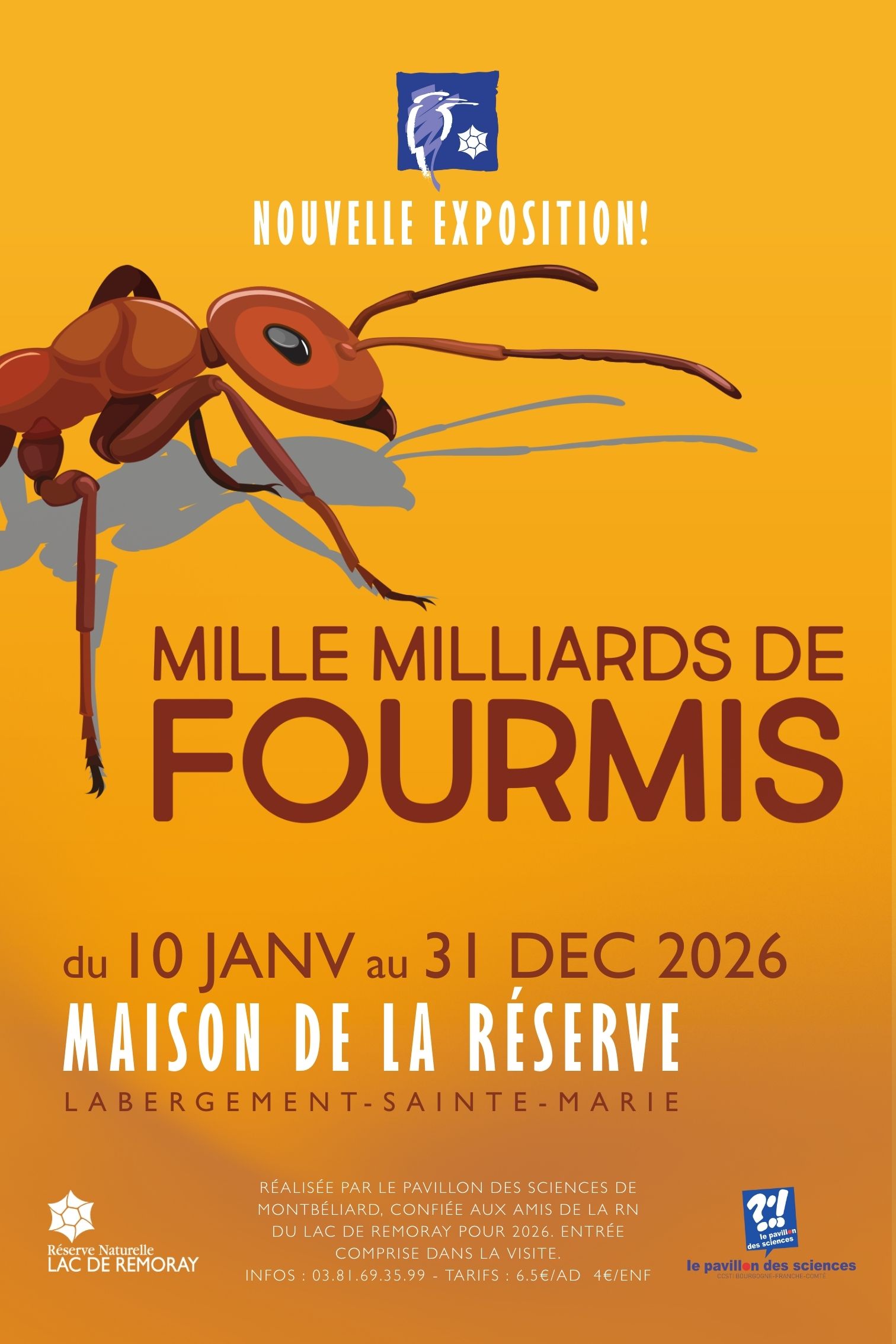 Exposition "Mille milliards de fourmis"