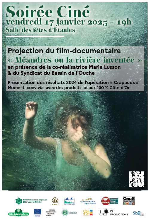 Affiche soiree-ciné_Etaules_janv-2025