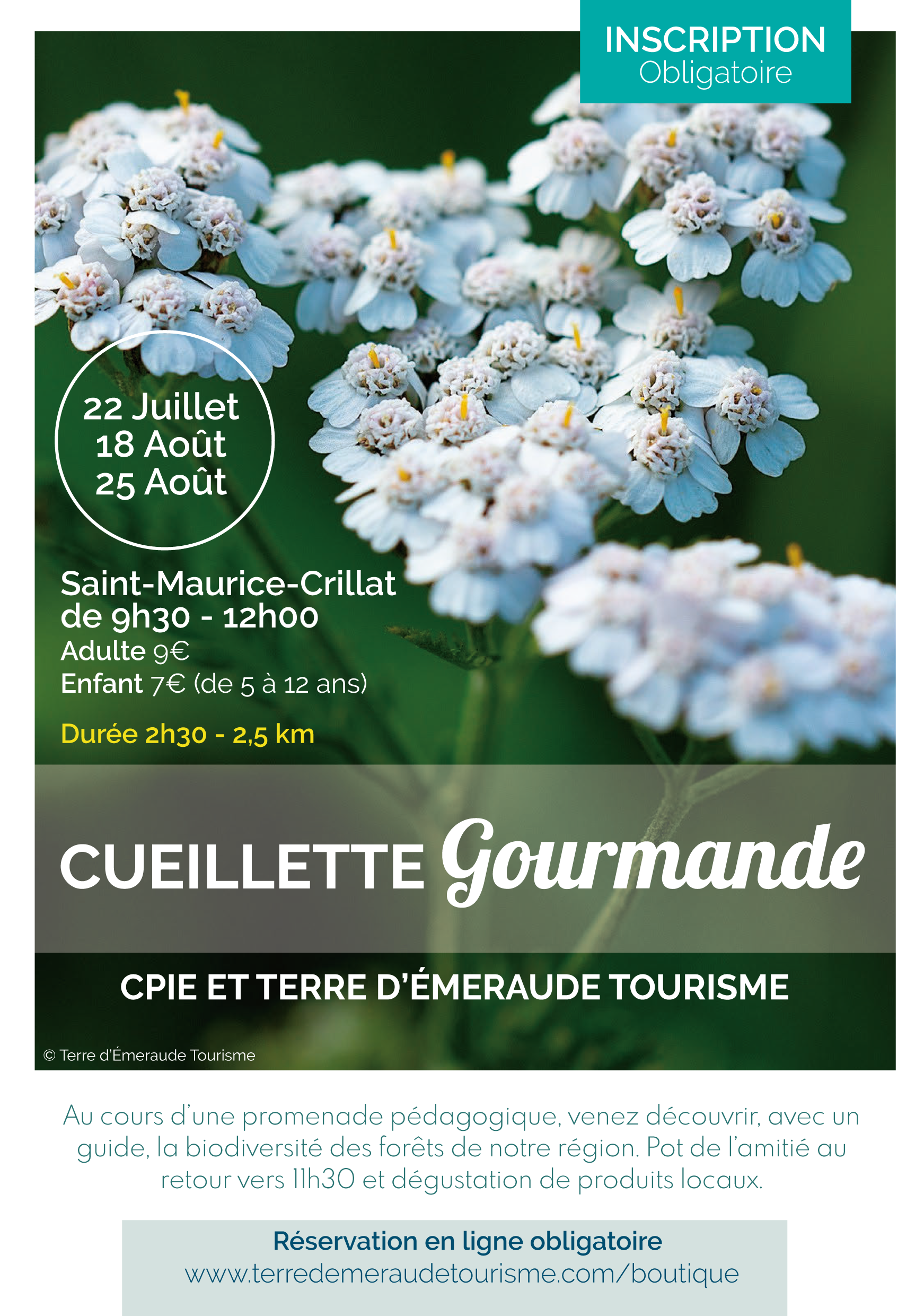 Sortie nature : Cueillette gourmande