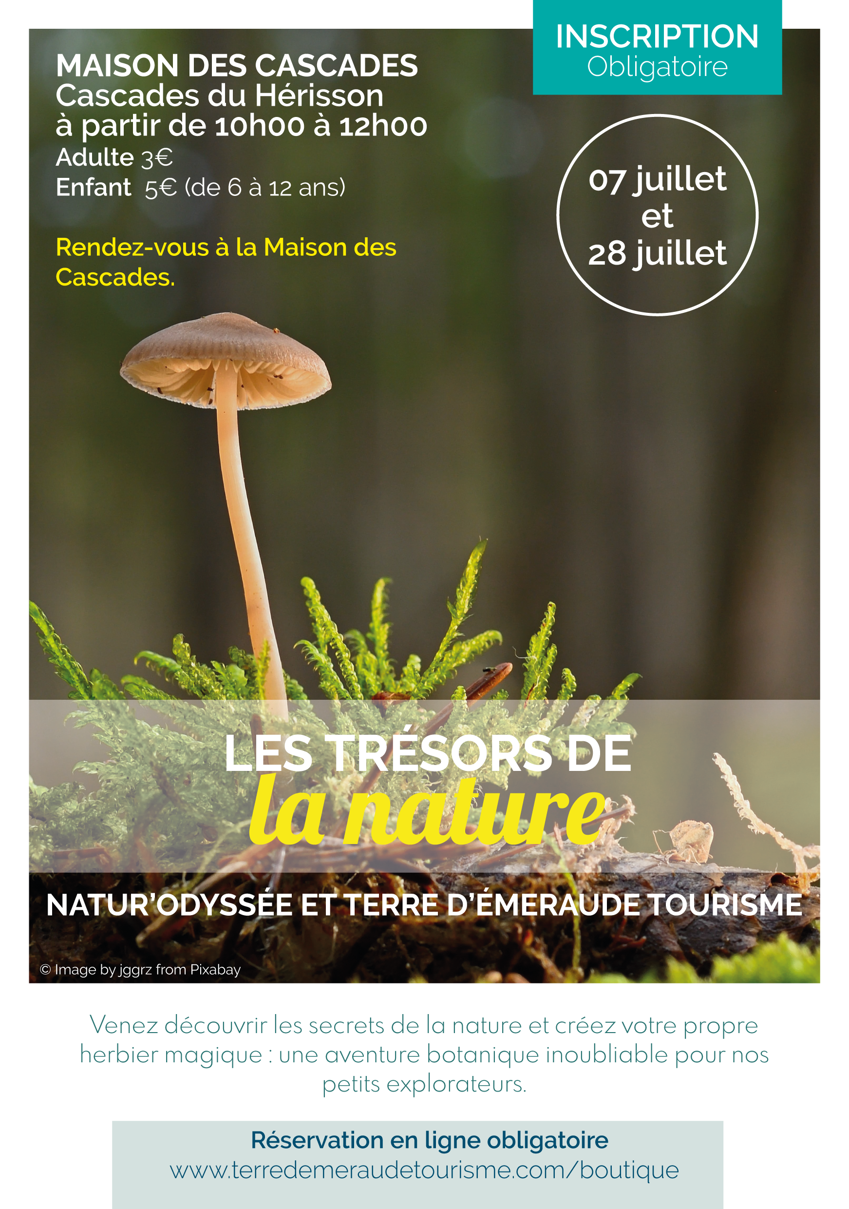 Les Trésors de la nature aux Cascades du Hérisson