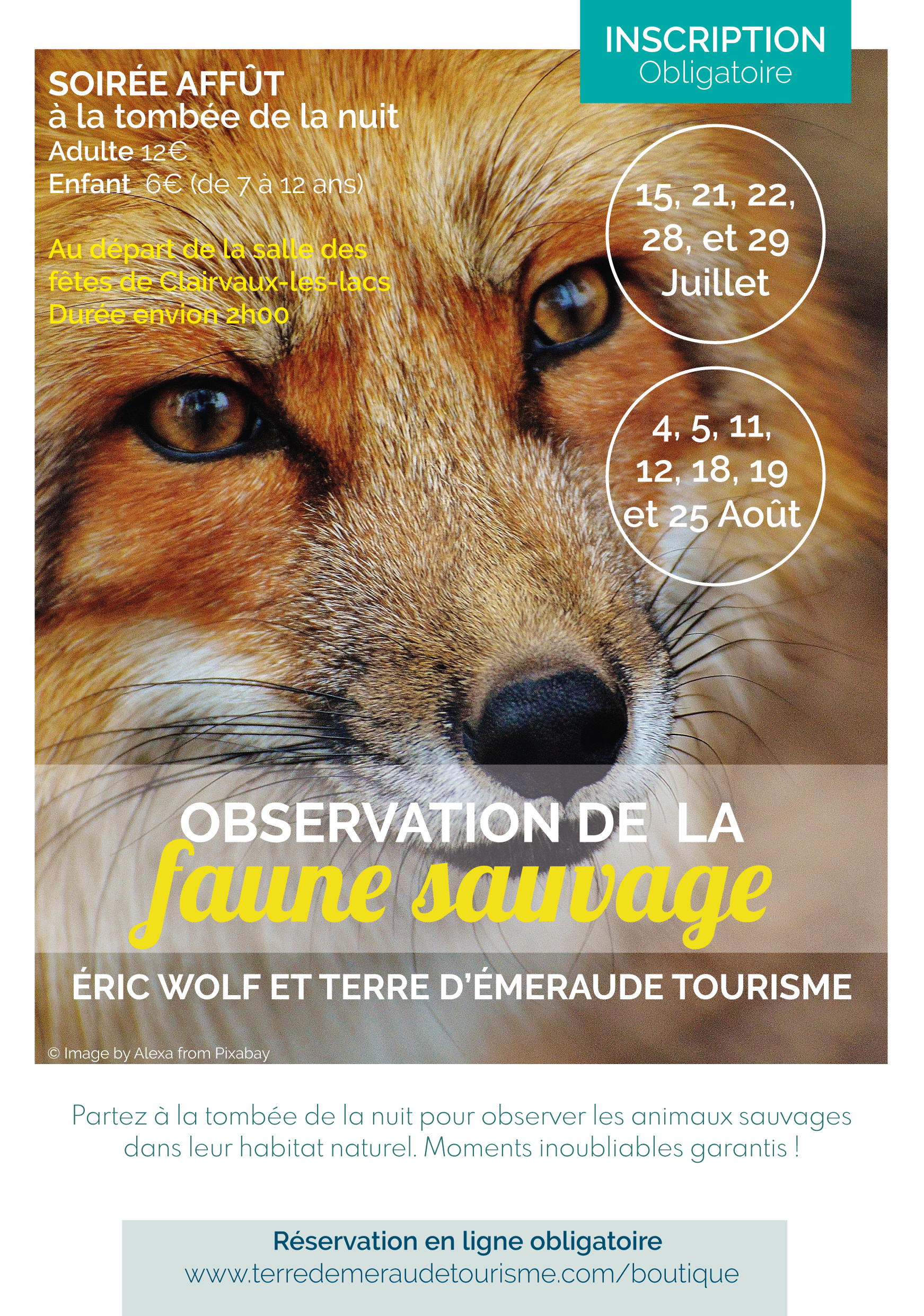 Soirée observation de la faune sauvage