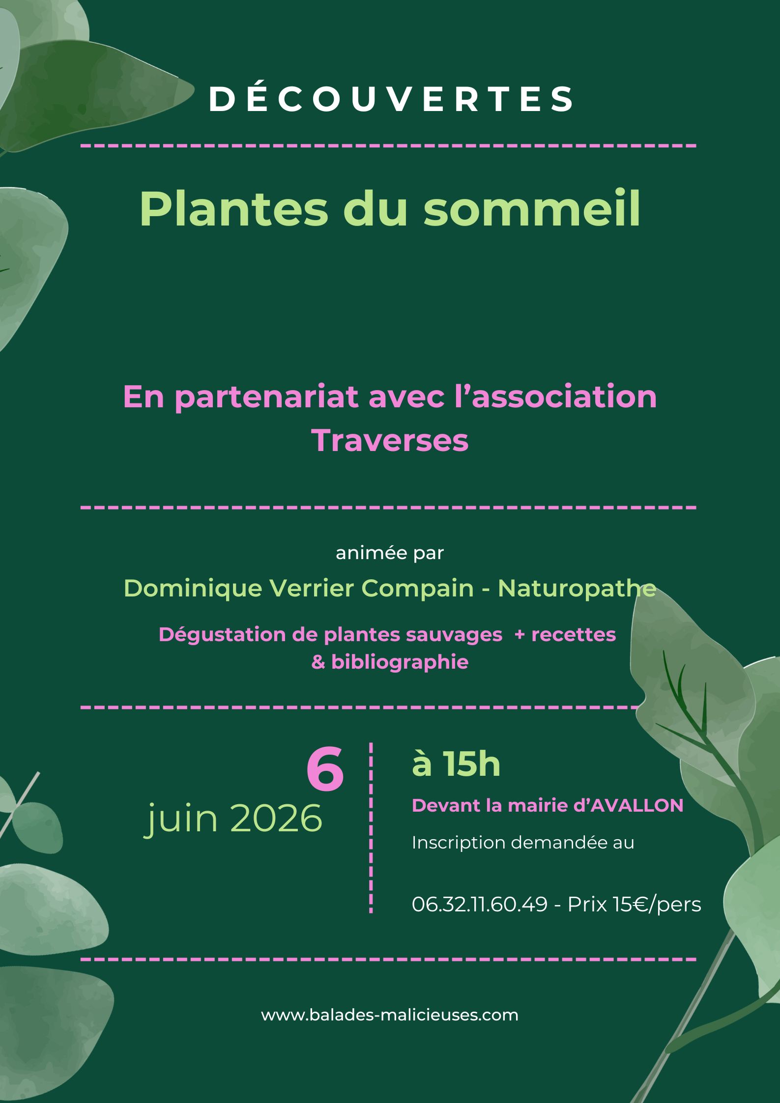 Découvertes de plantes du sommeil dans des jardins d'Avallon