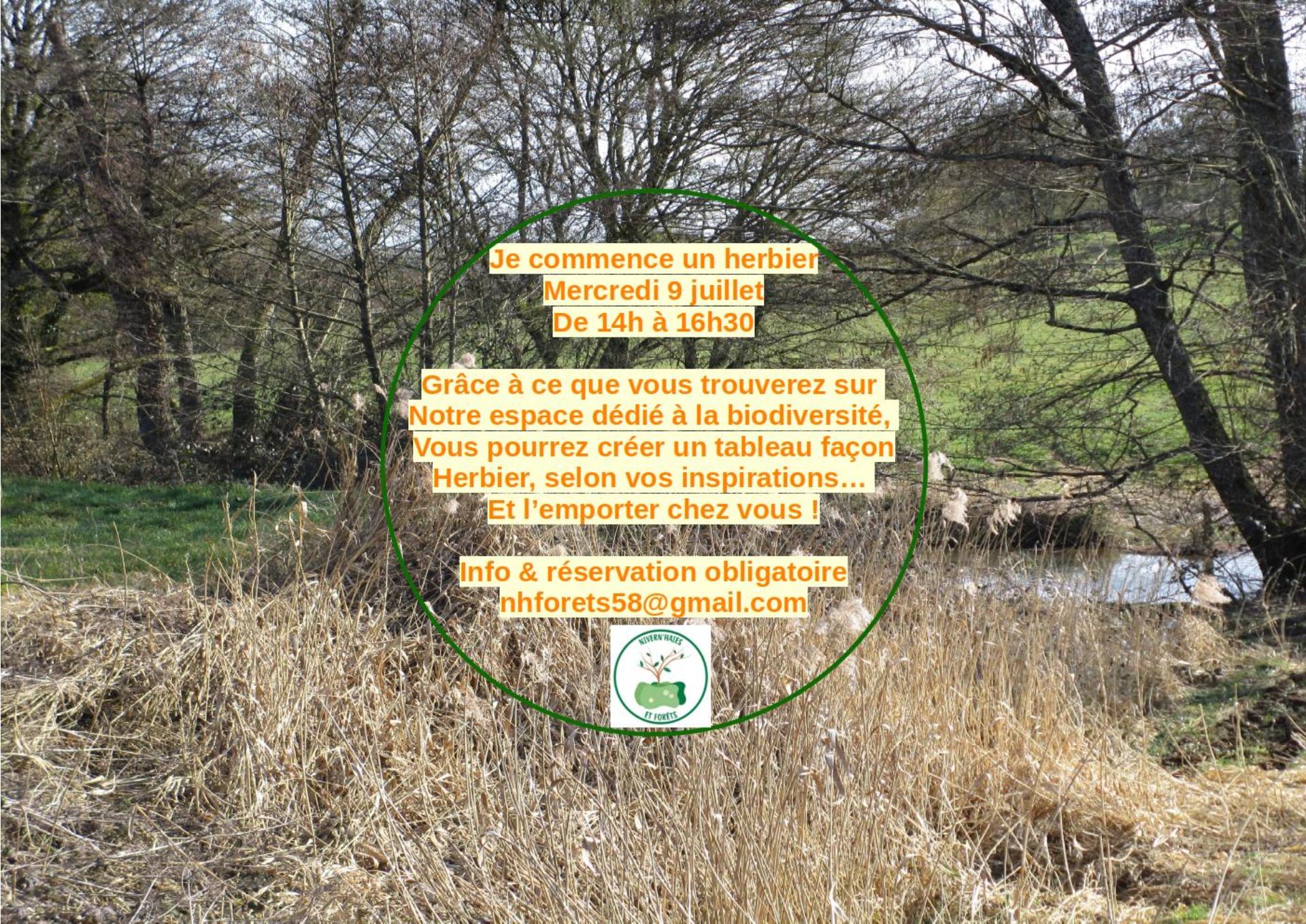 Atelier de fabrication d’un herbier sous forme de petit tableau