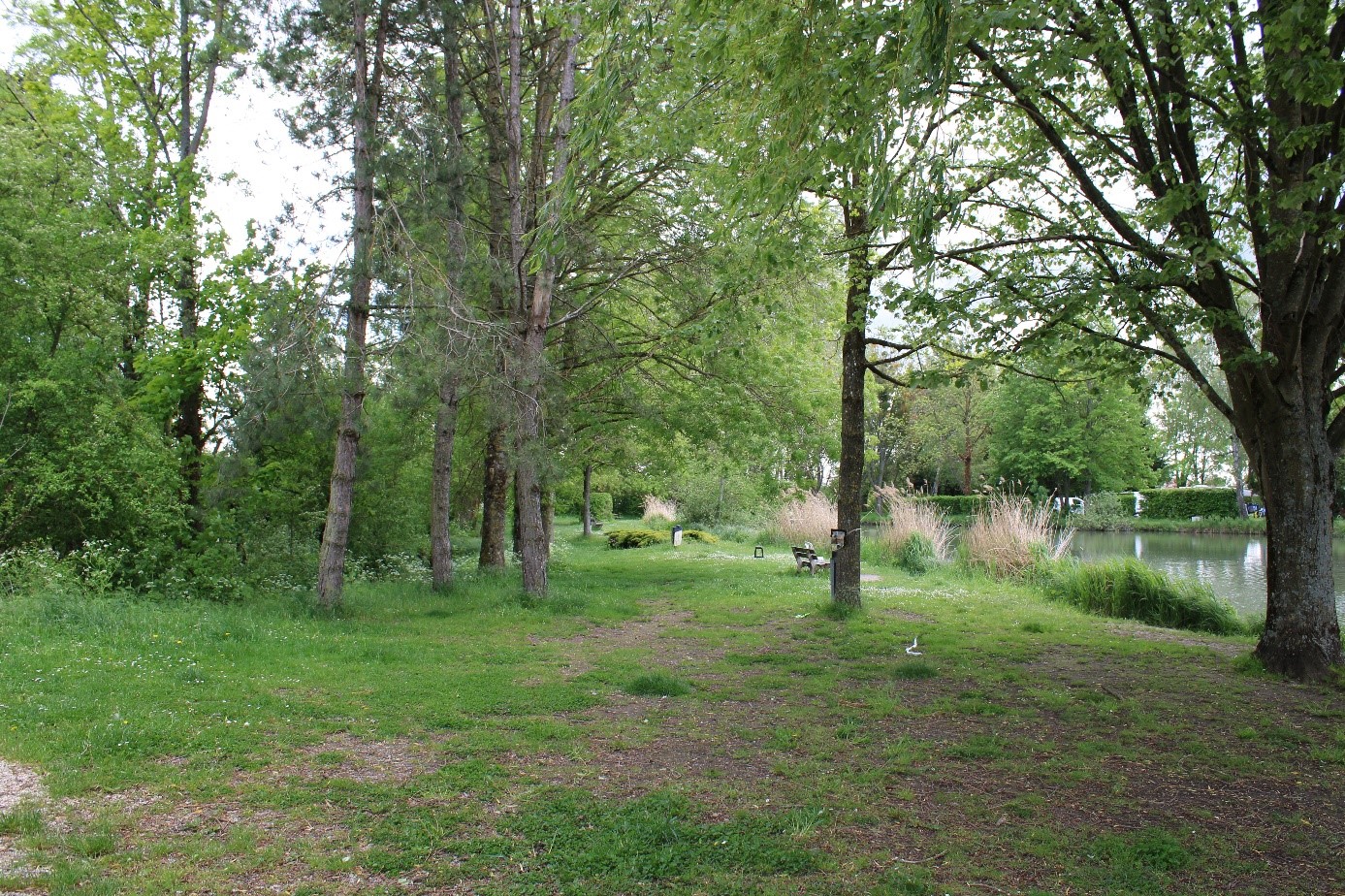 Aire de pique-nique de Saulon la Chapelle