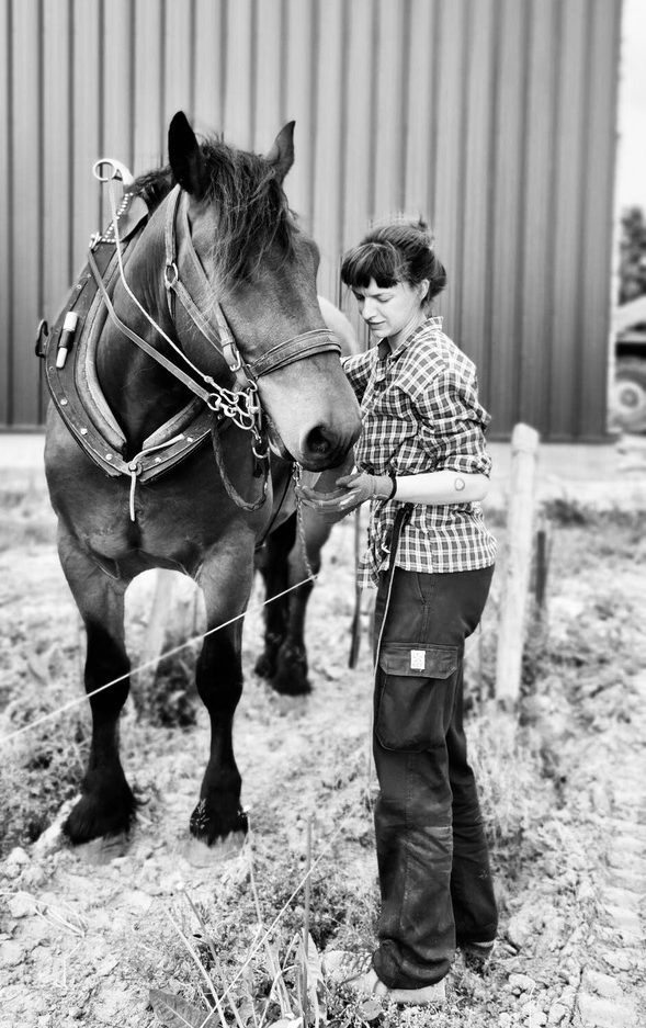 causerie : travailler avec les chevaux