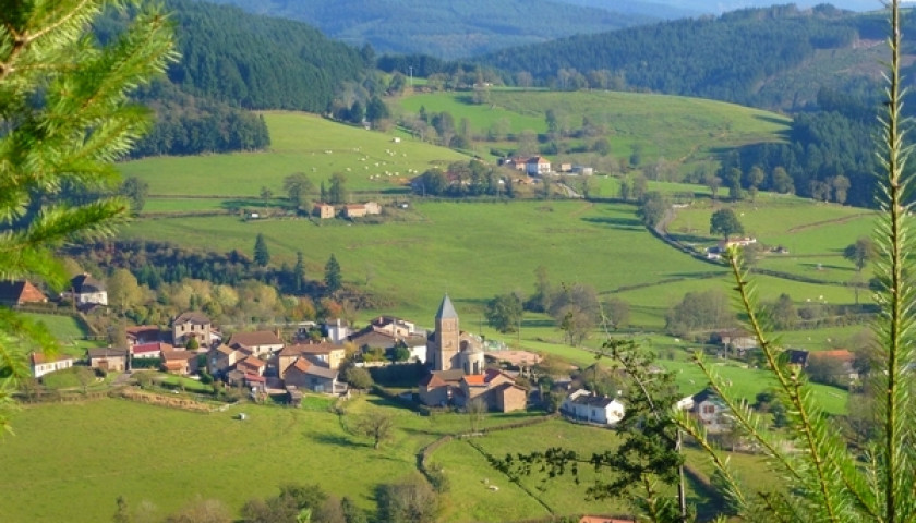 31ème marche des Sapins