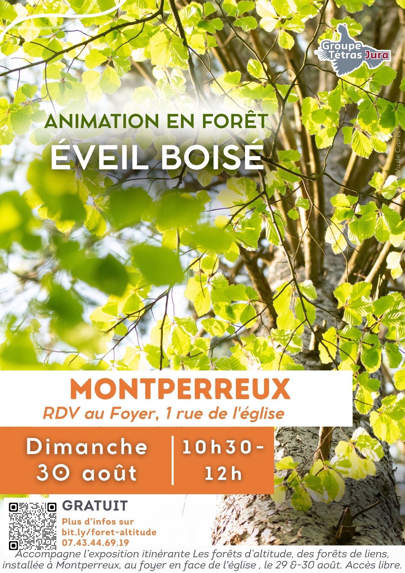Les forêts d'altitude, des forêts de liens : Animation L'éveil boisé
