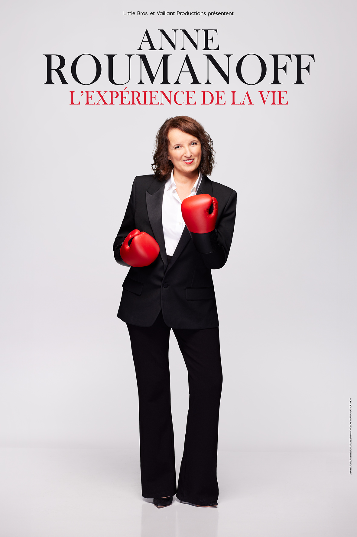 AnneRoumanoff_ExperienceDeLaVie_Tournee_Affiche