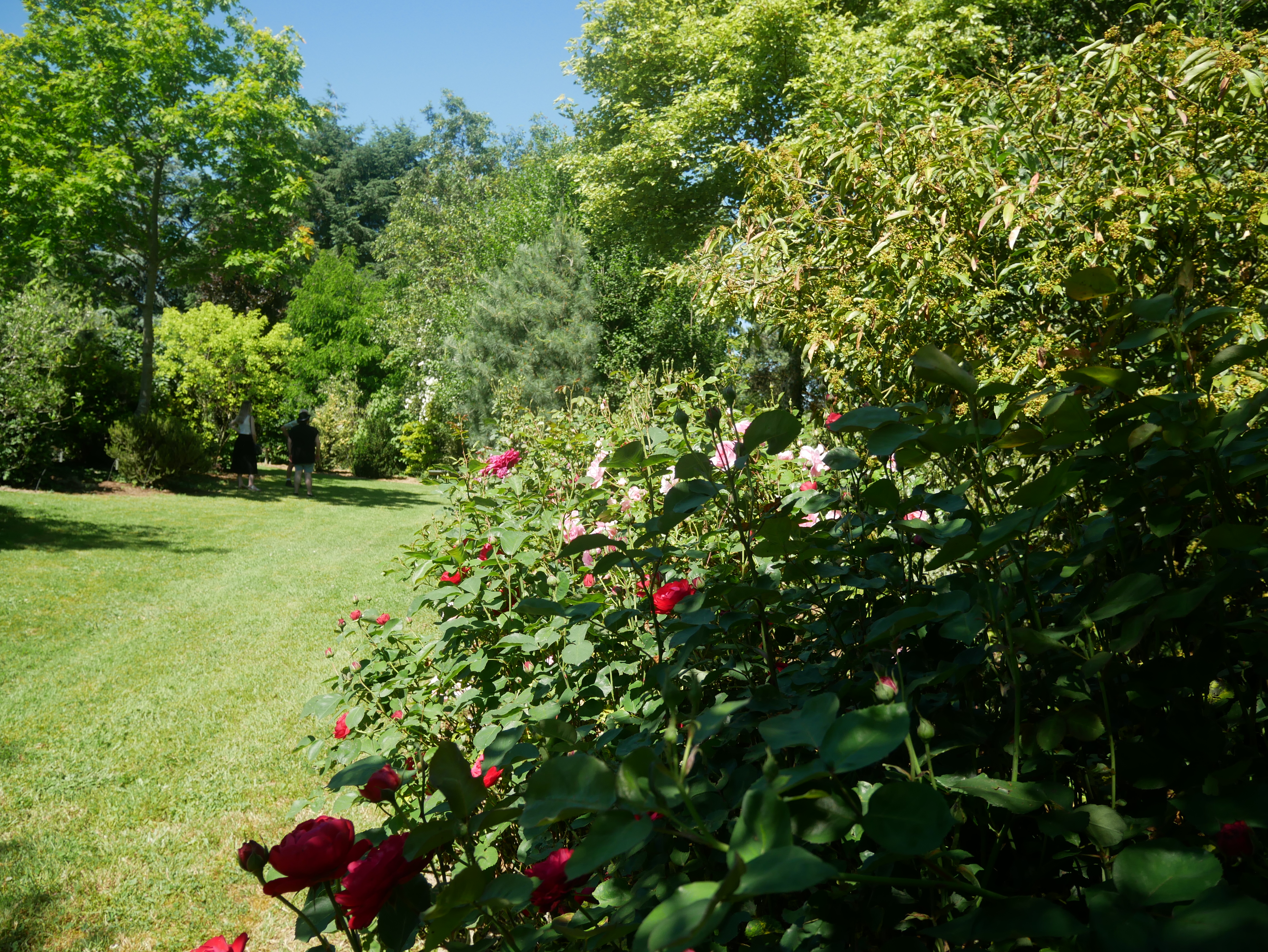 Arboretum Feuilles Fleuries 