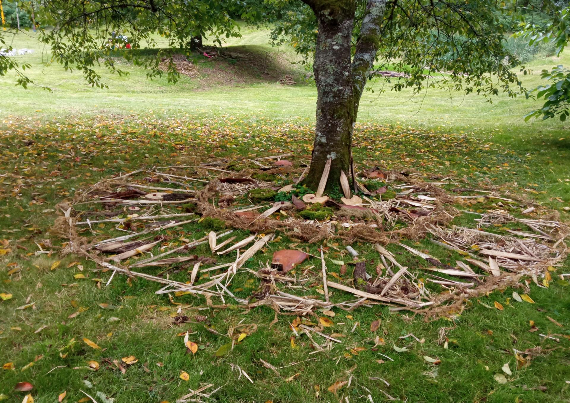 Atelier de création : je réalise un objet naturel