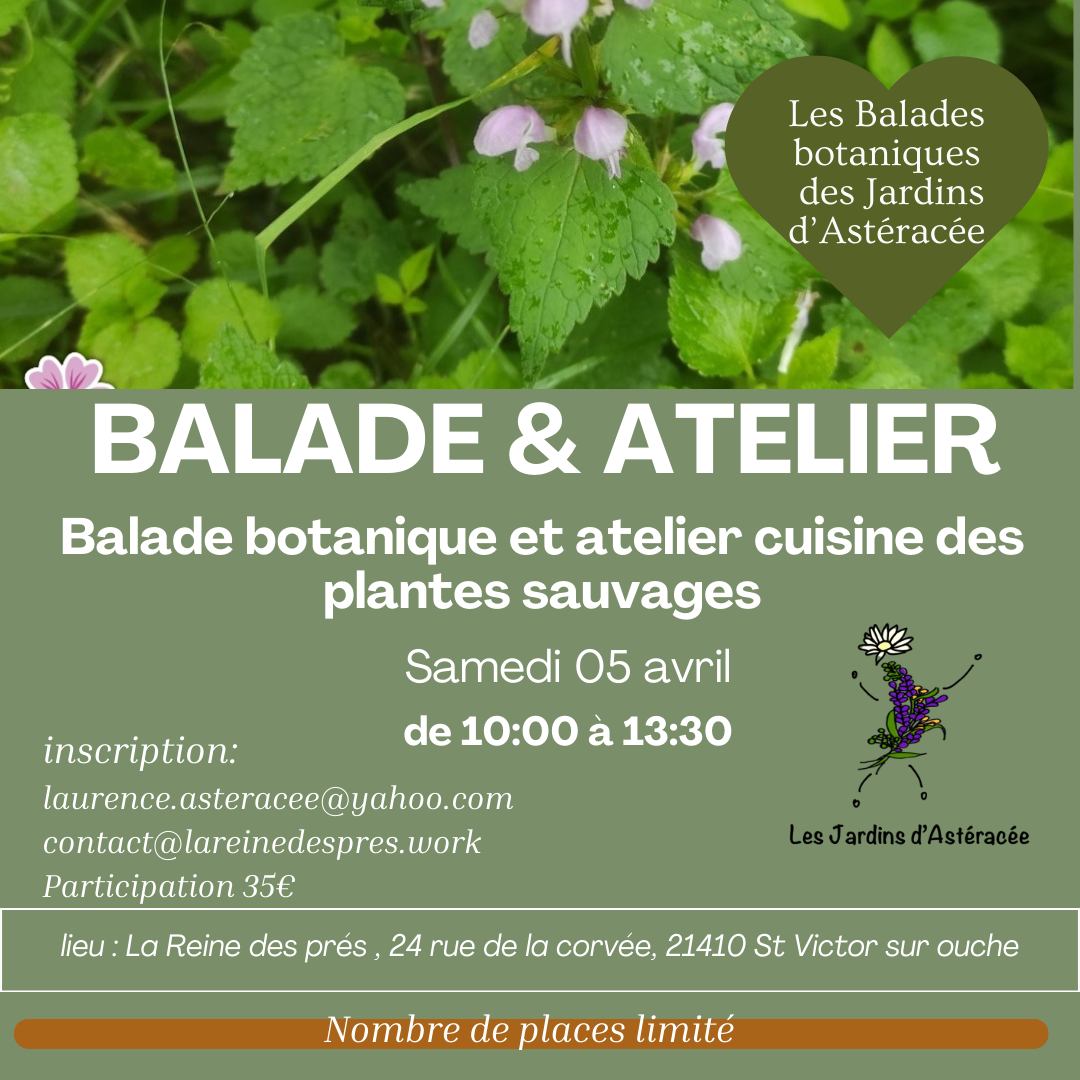 Atelier  05 avril - 1