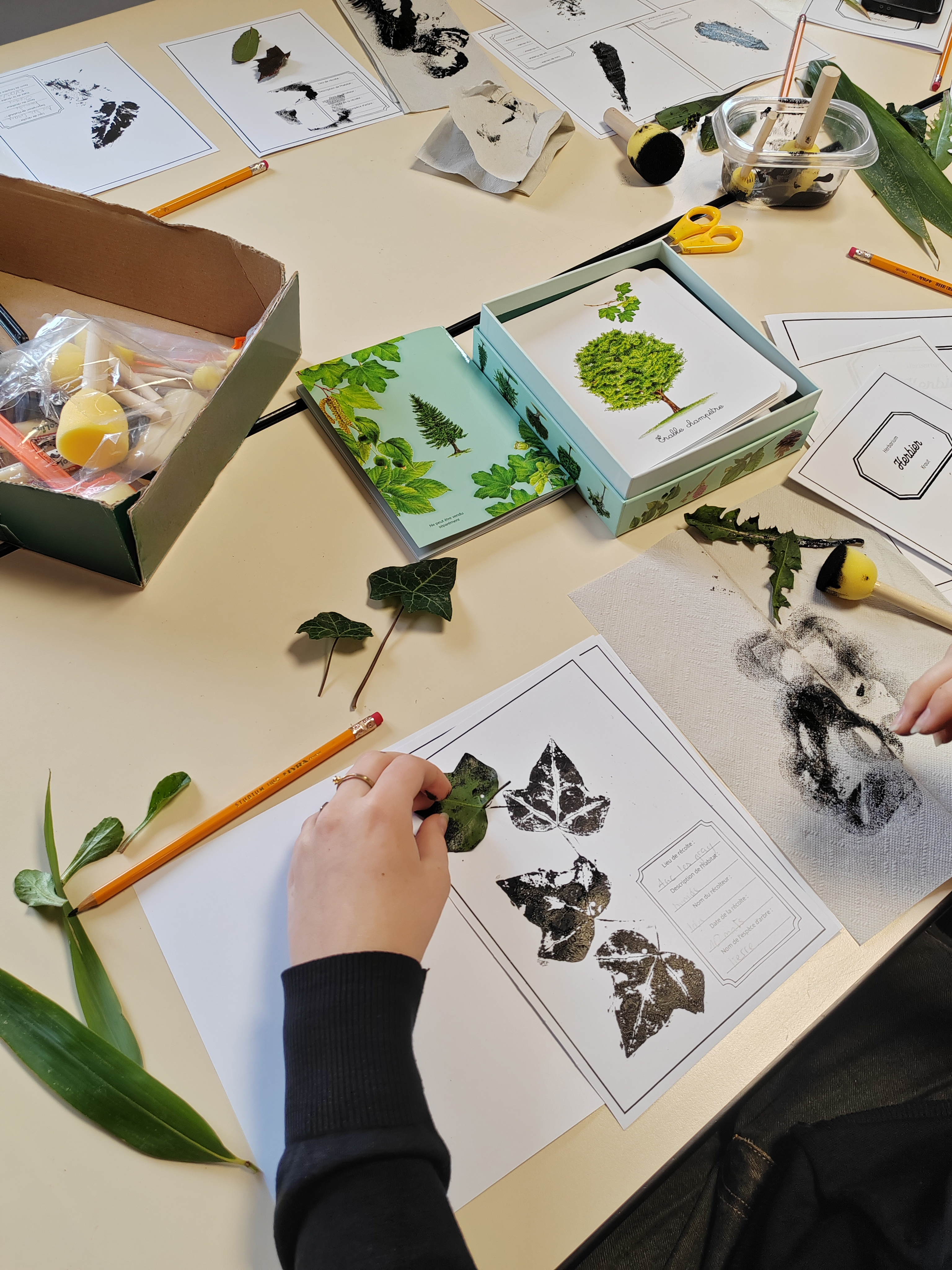 Atelier 7-12 ans / Atelier herbier / Artiste botaniste
